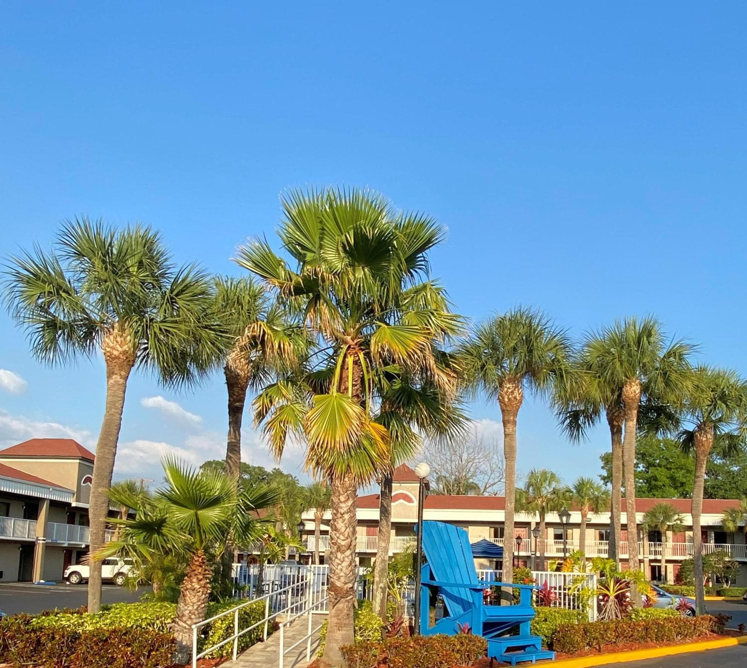 Hotel South Tampa & Suites — 7