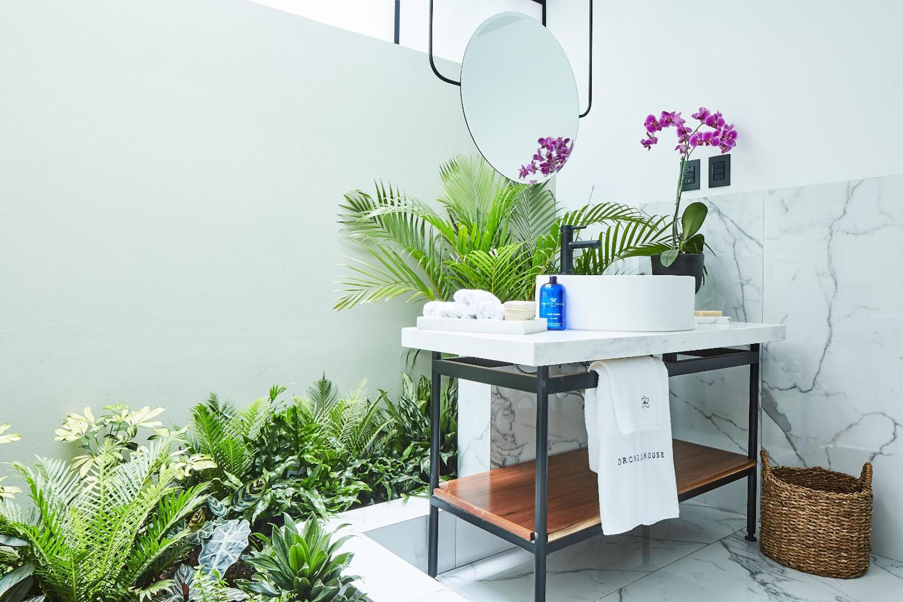 Casa delle Orchidee Polanco — 13
