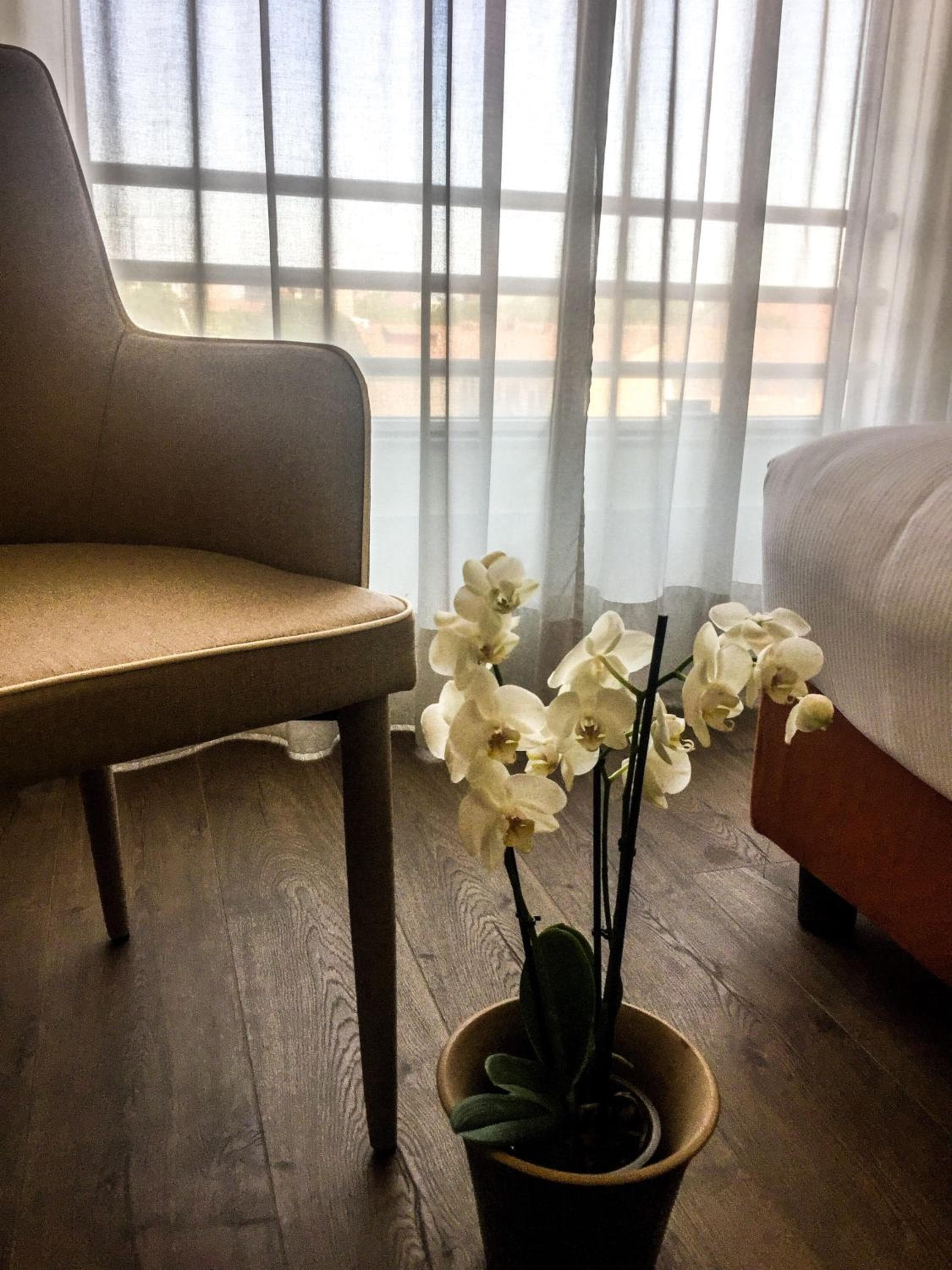Hotel Blaise & Francis — 3