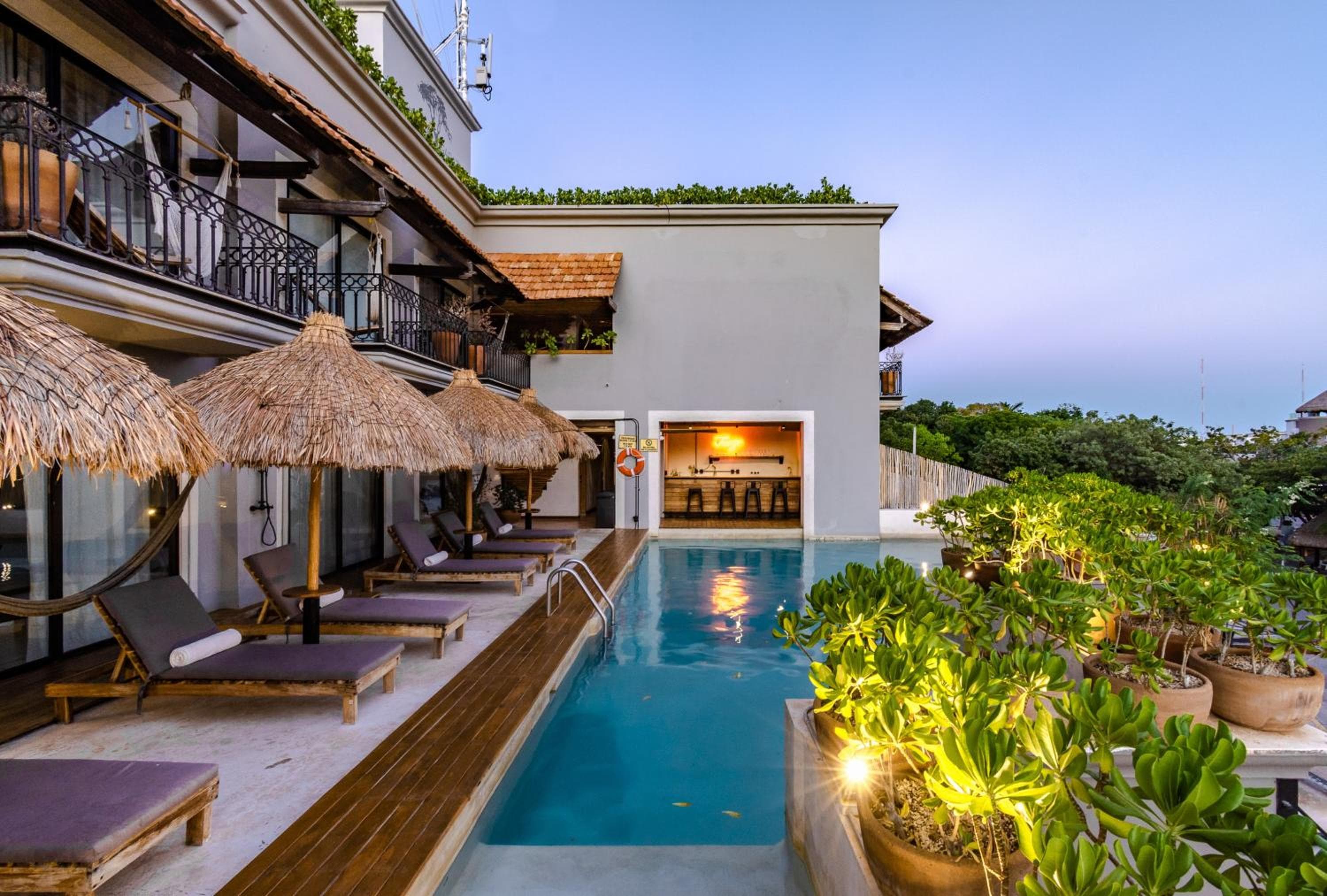 Caribbean Paradise Hotel Boutique & Spa di Voila Hoteles - 5th Av Playa del Carmen — 5