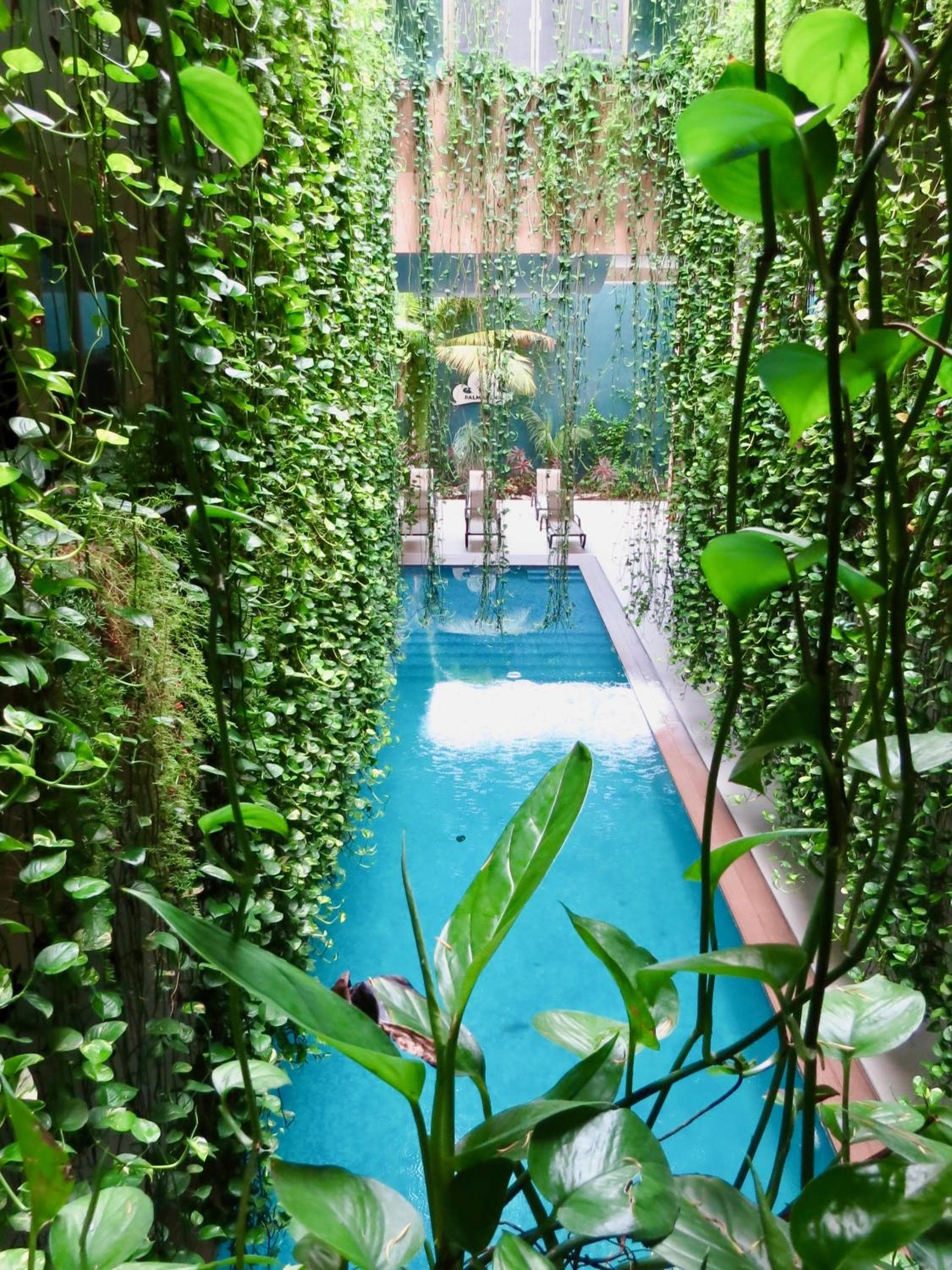 PALMARENA by Nah Hoteles — 3