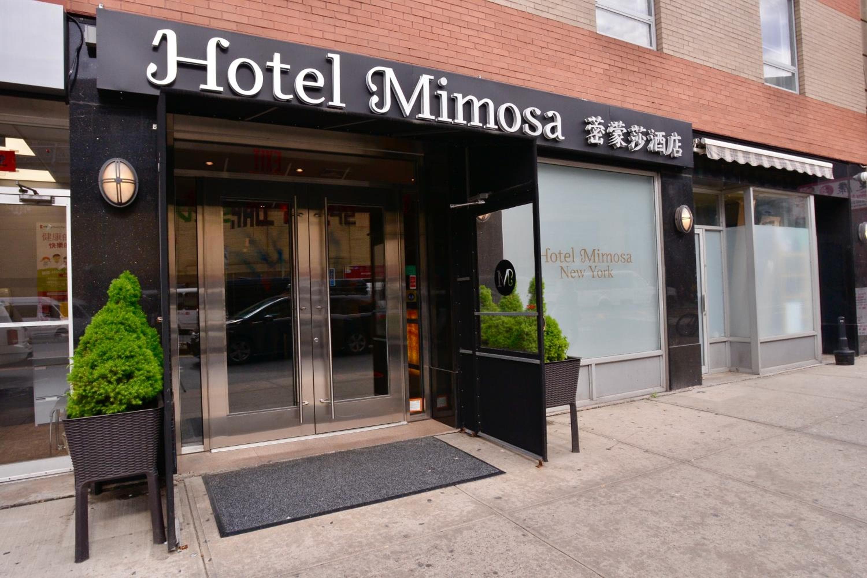 Hotel Mimosa — 1