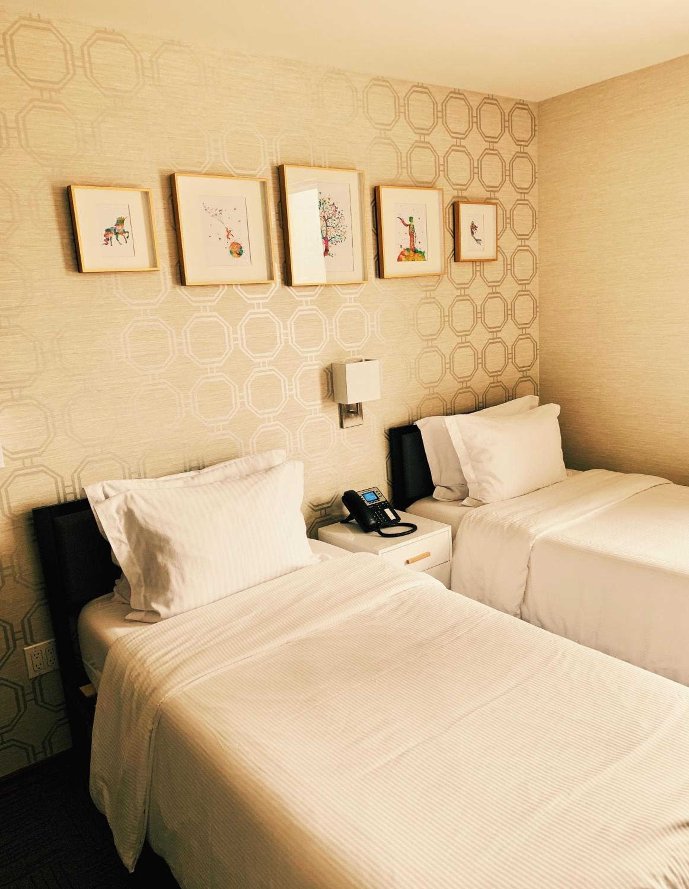 Hotel Mimosa — 19