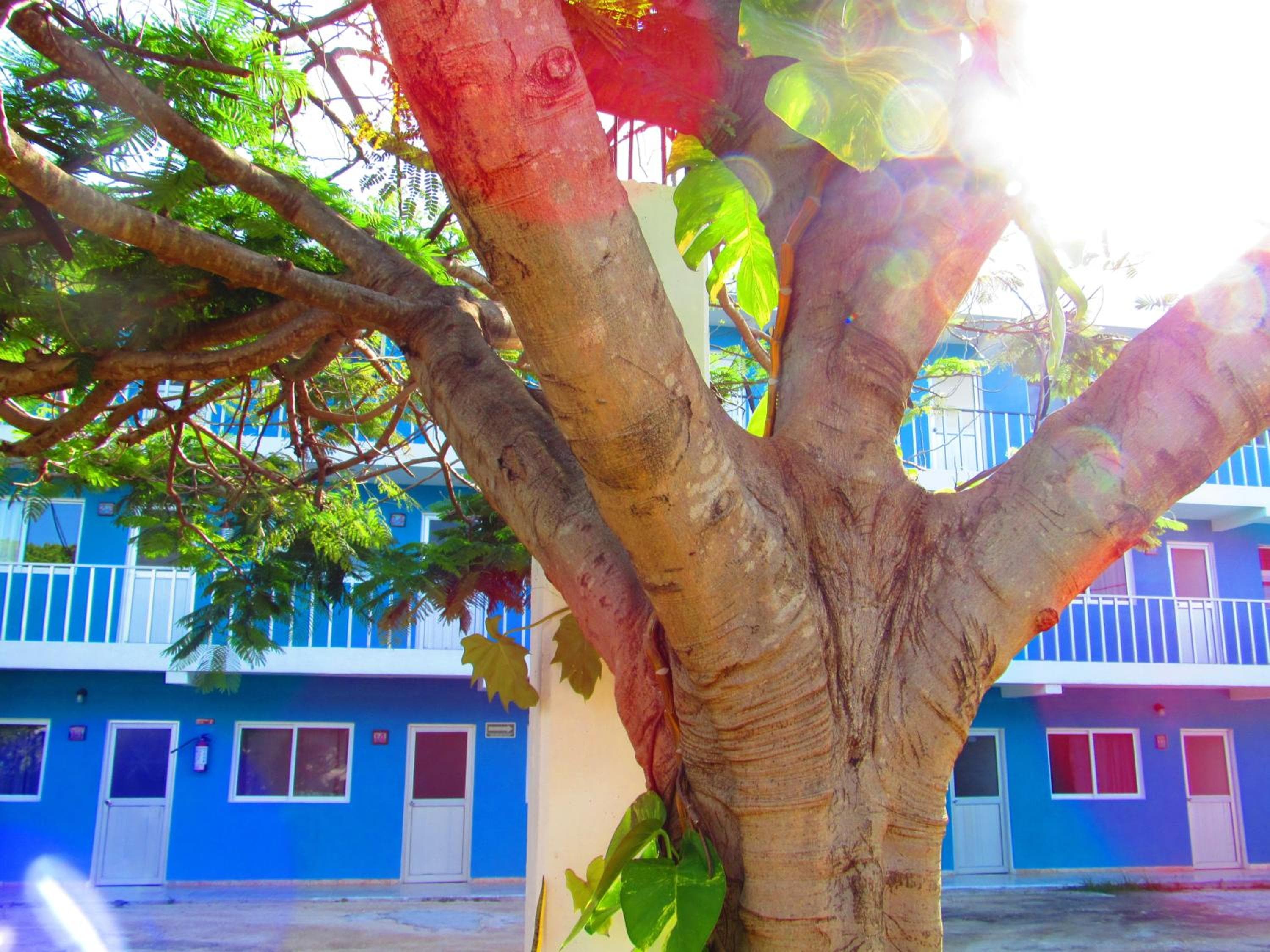 Hotel Blue Coconut Cancun — 15