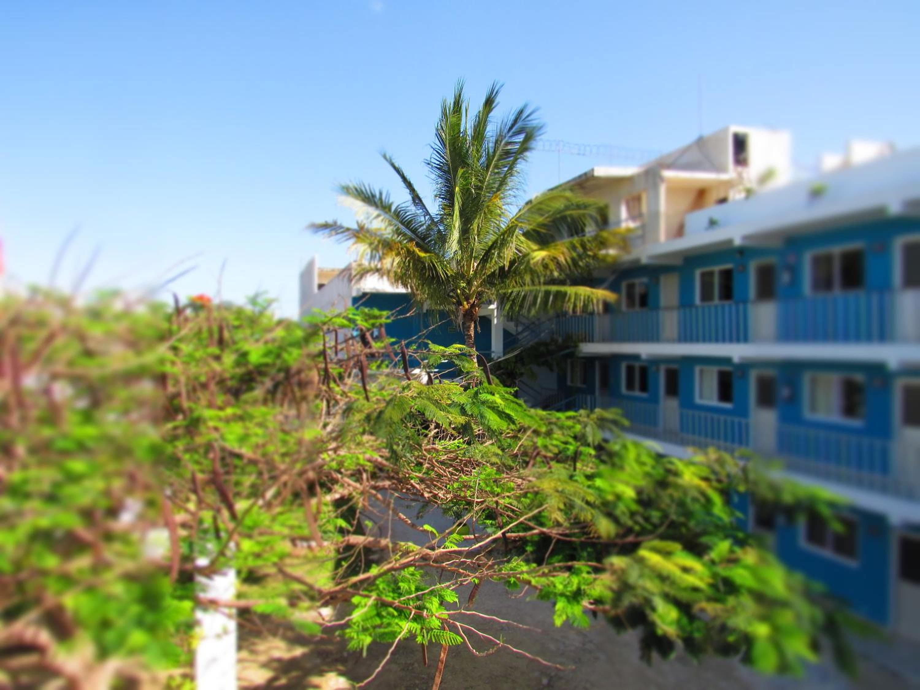 Hotel Blue Coconut Cancun — 17