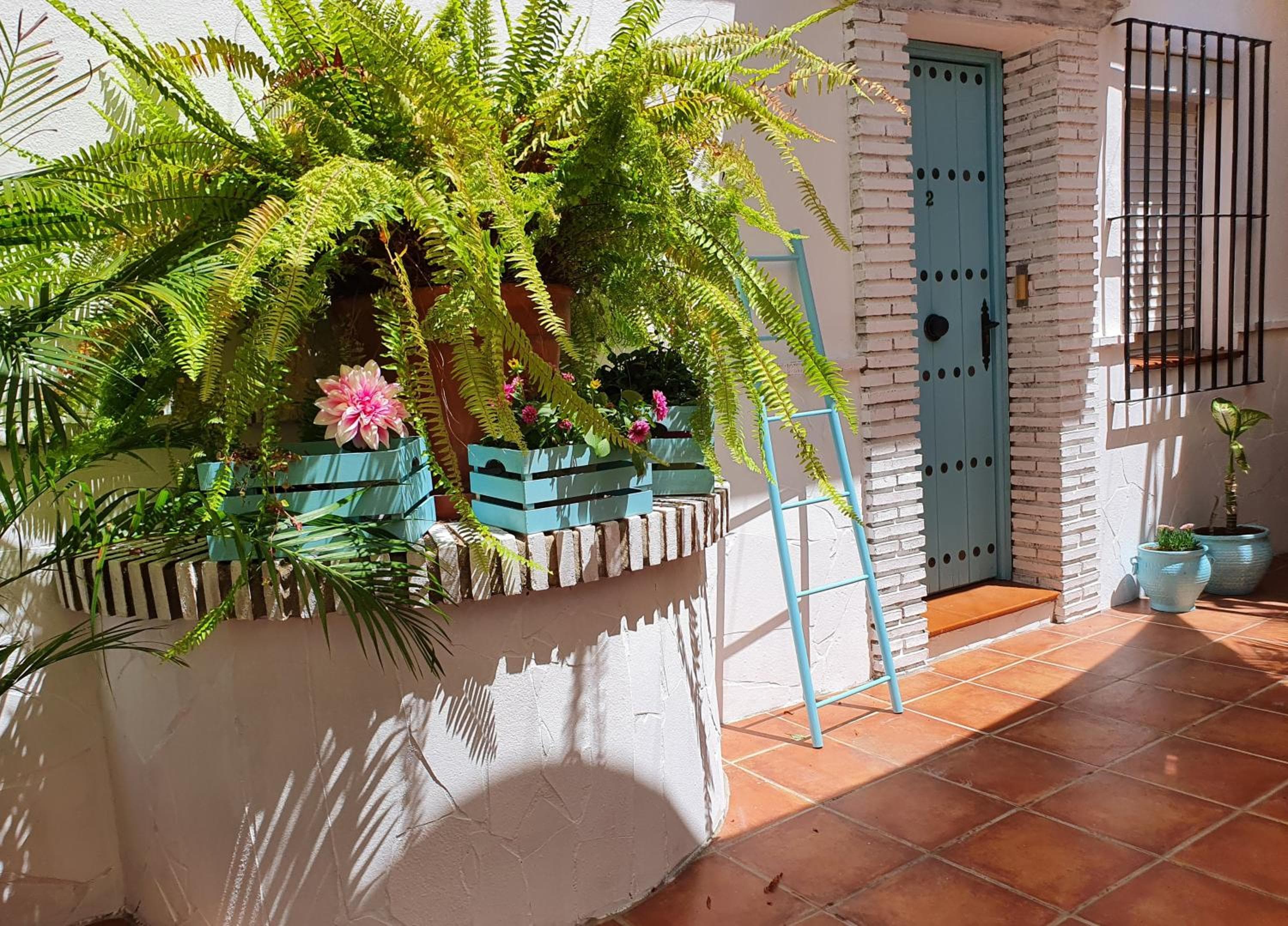 El Nogal Home — 17