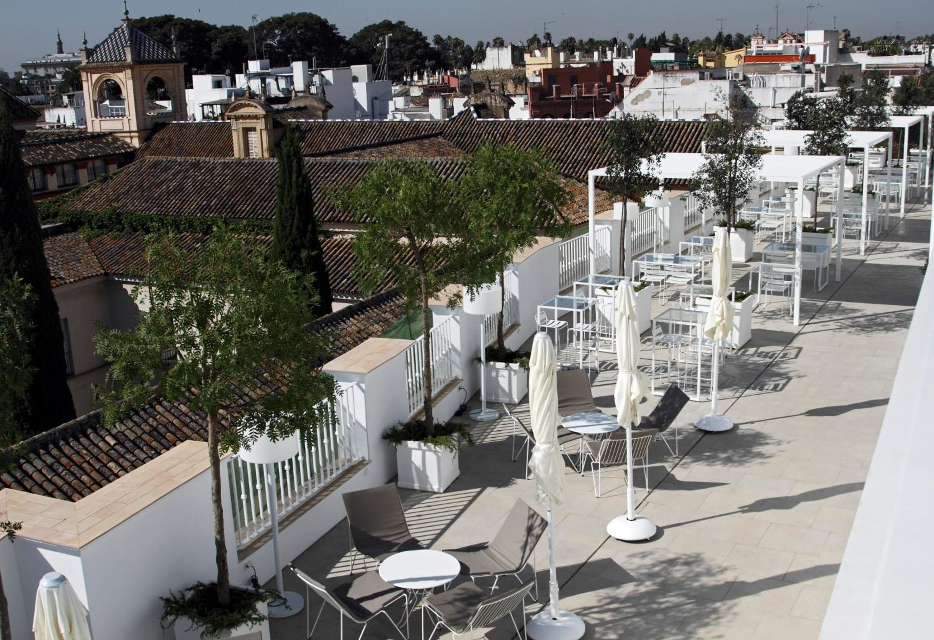Albergo Fernando III — 29