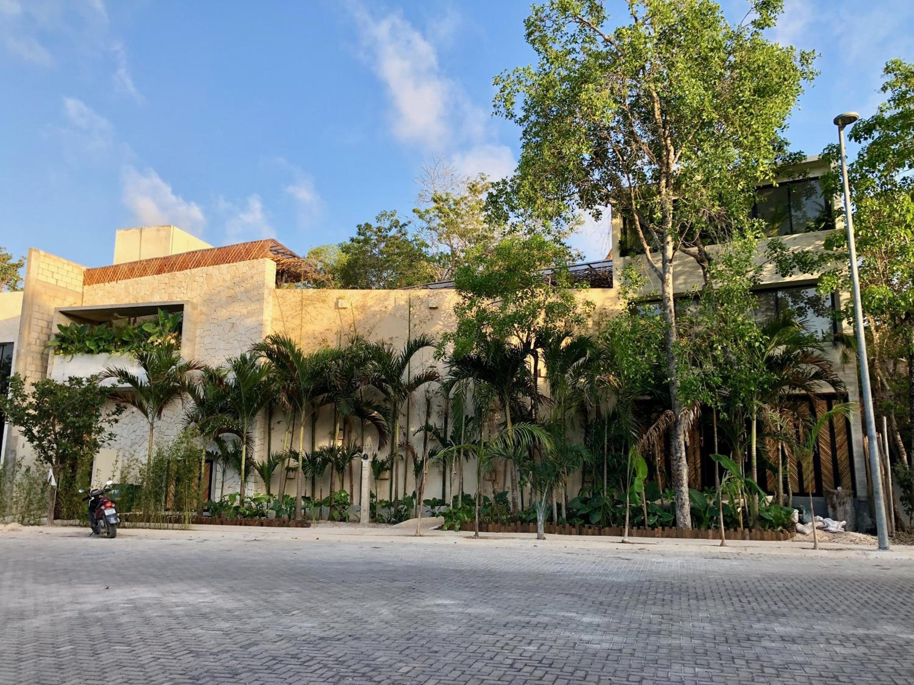 Orchid House Tulum Jungle — 1
