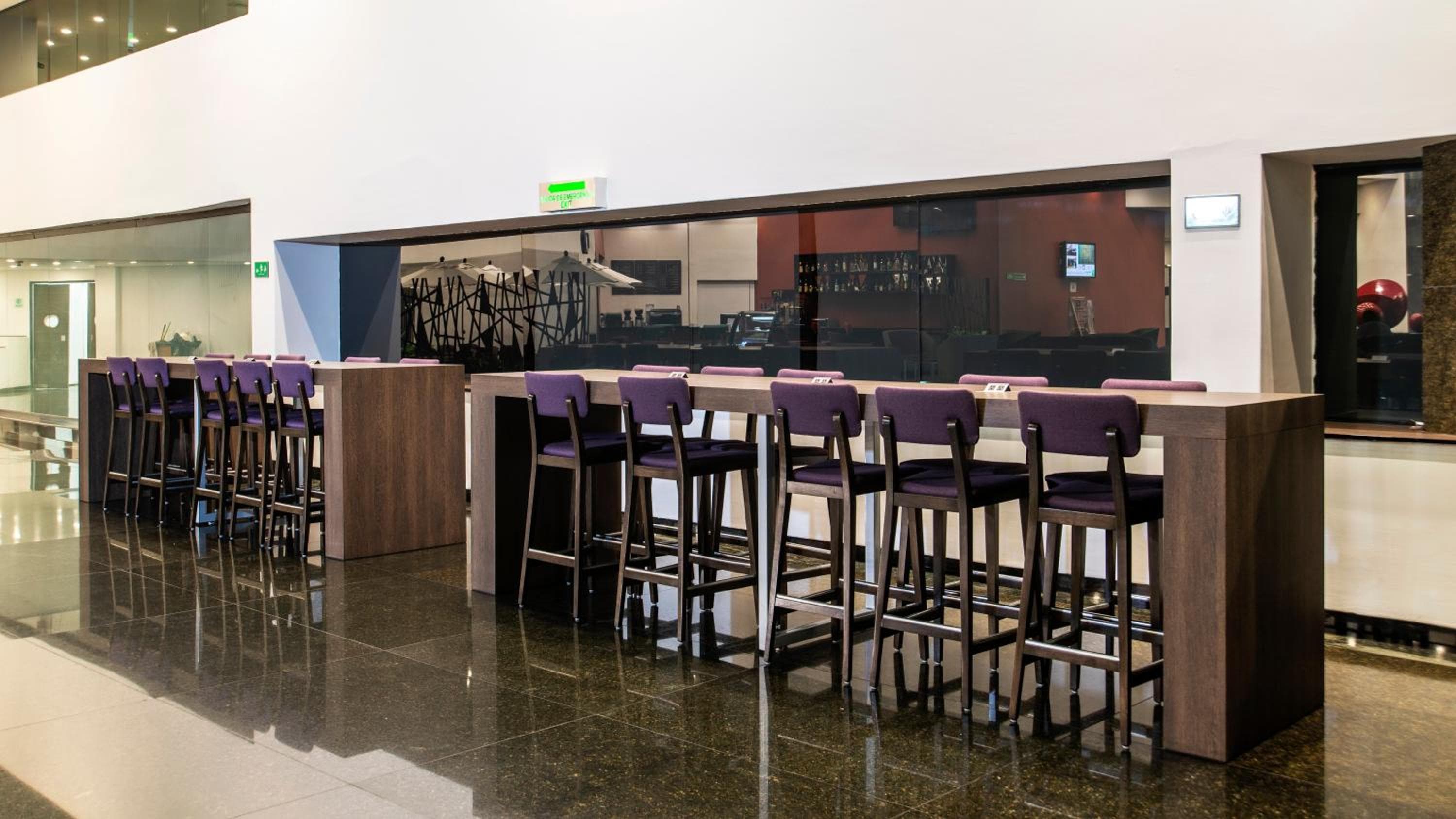 Holiday Inn México Dalí Aeropuerto, un hotel IHG — 12