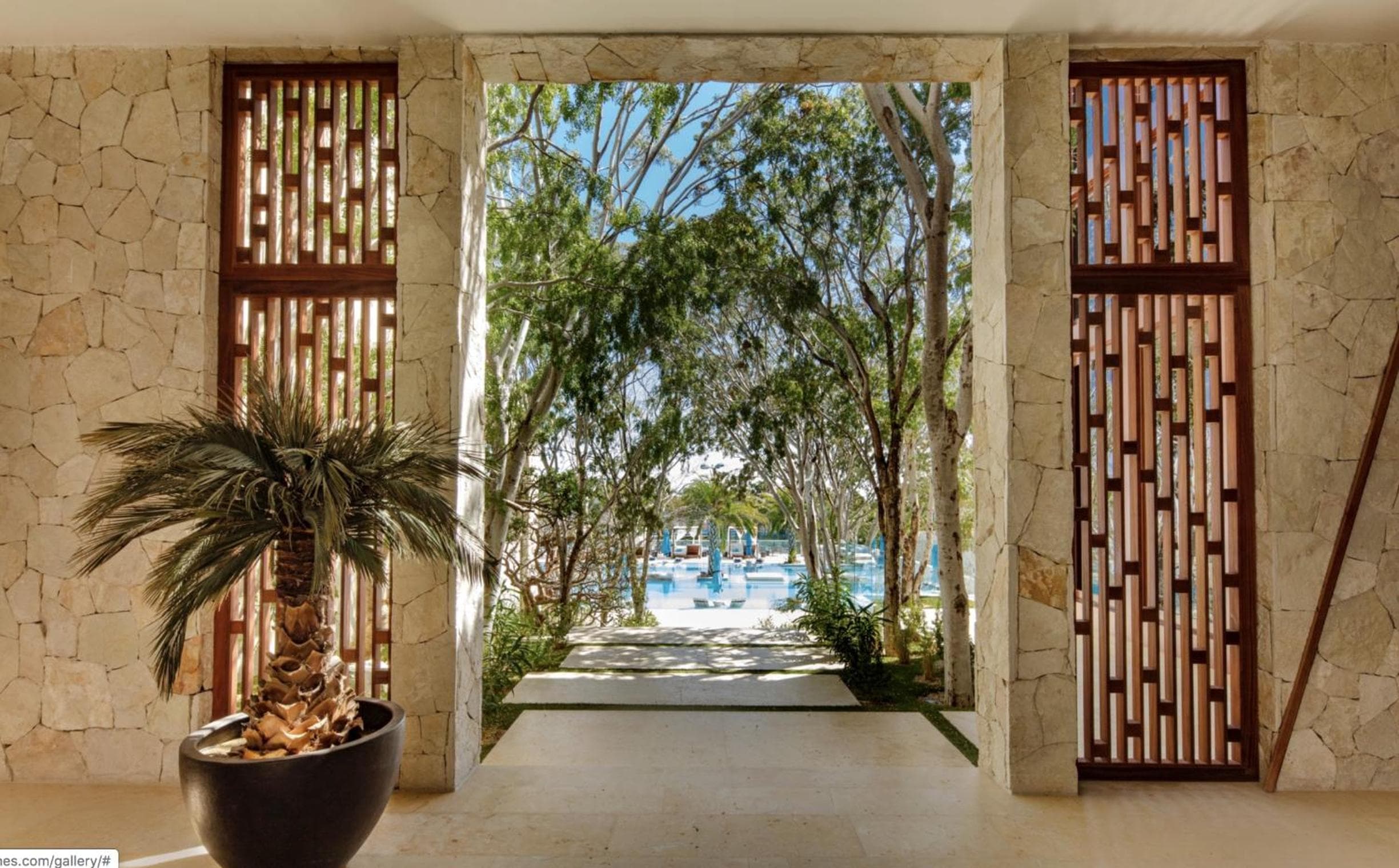 Bohari Palmilla — 7