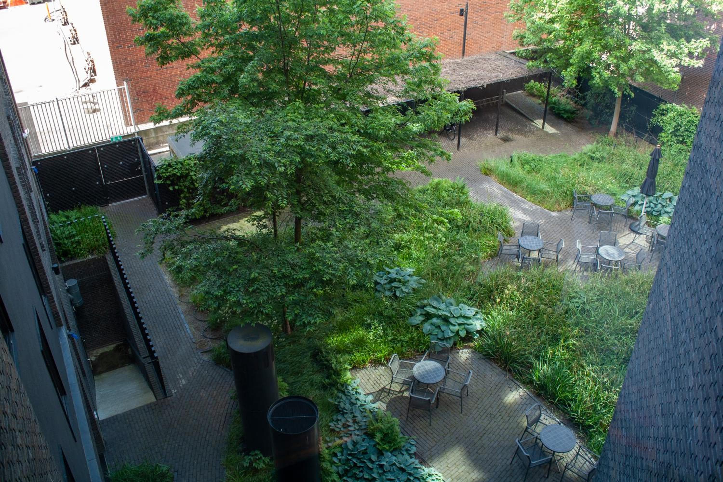 Wakeup Copenhagen - Borgergade hotel, Borgergade 9, Copenhagen, Denmark — photo 4