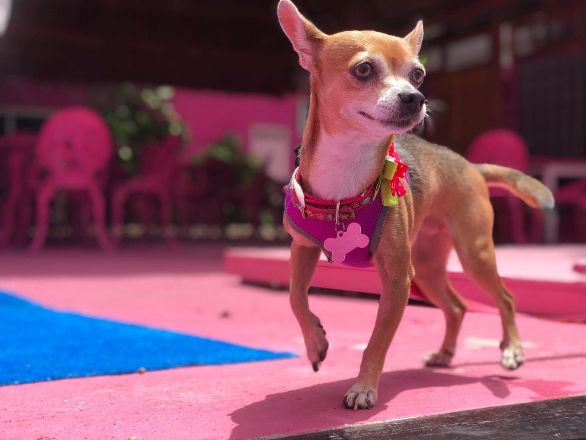 Santuario Playa — 11