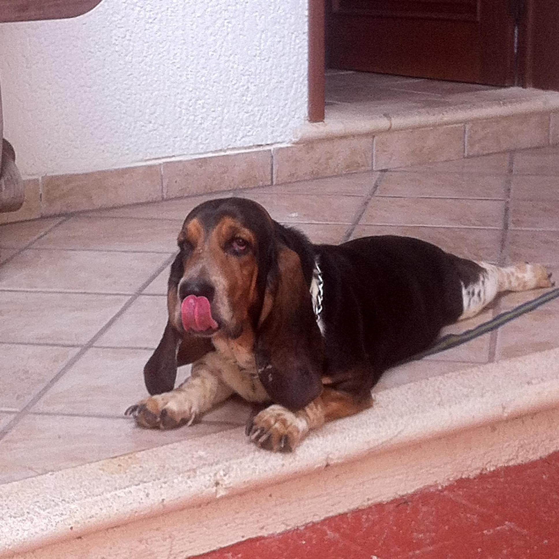 Santuario Playa — 12