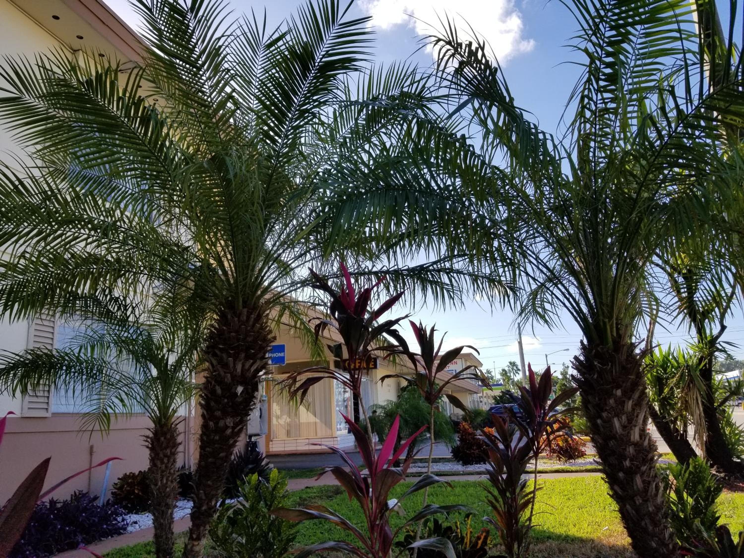 Parkway Inn — 23