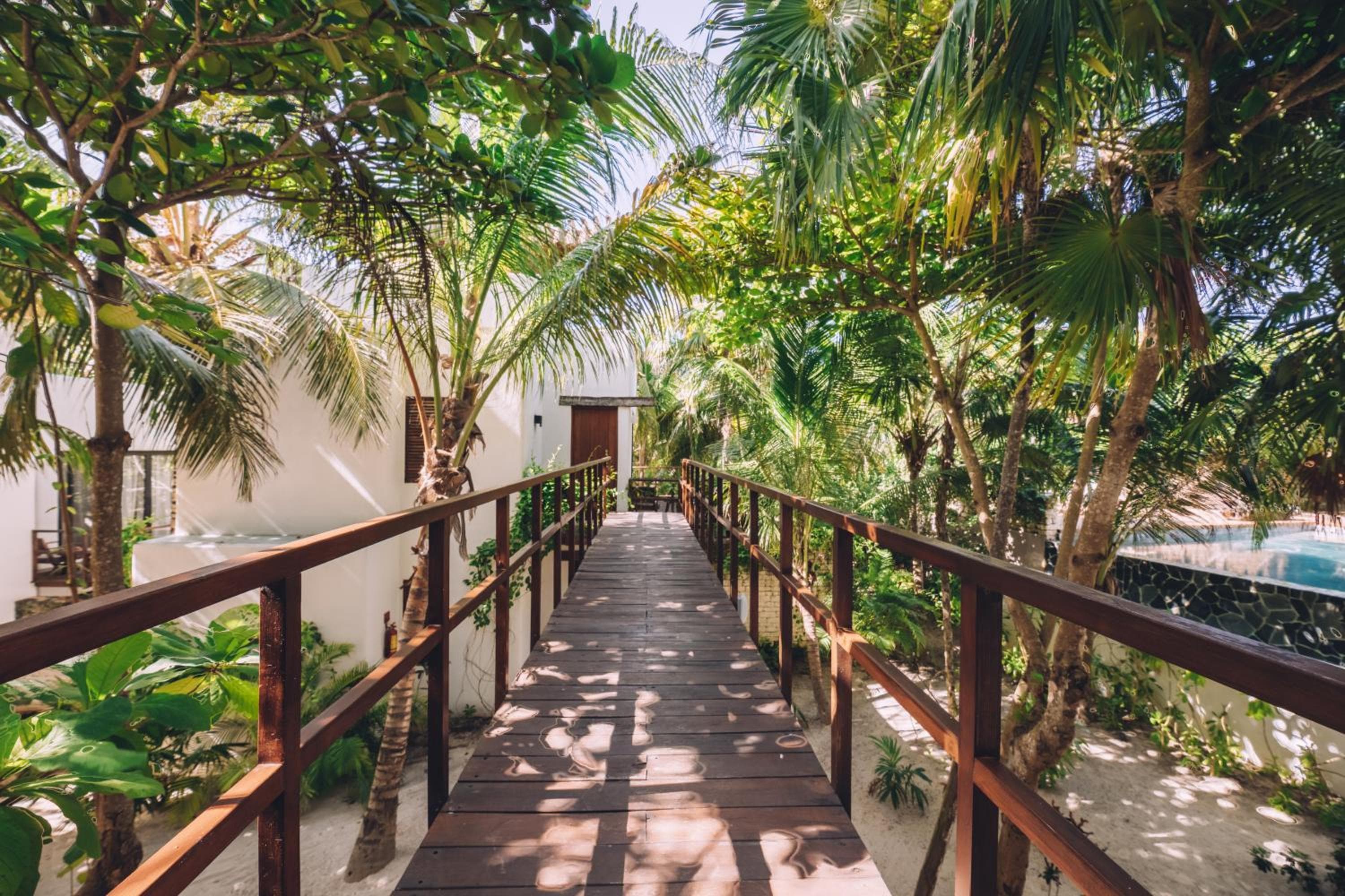 Chiringuito Tulum — 17