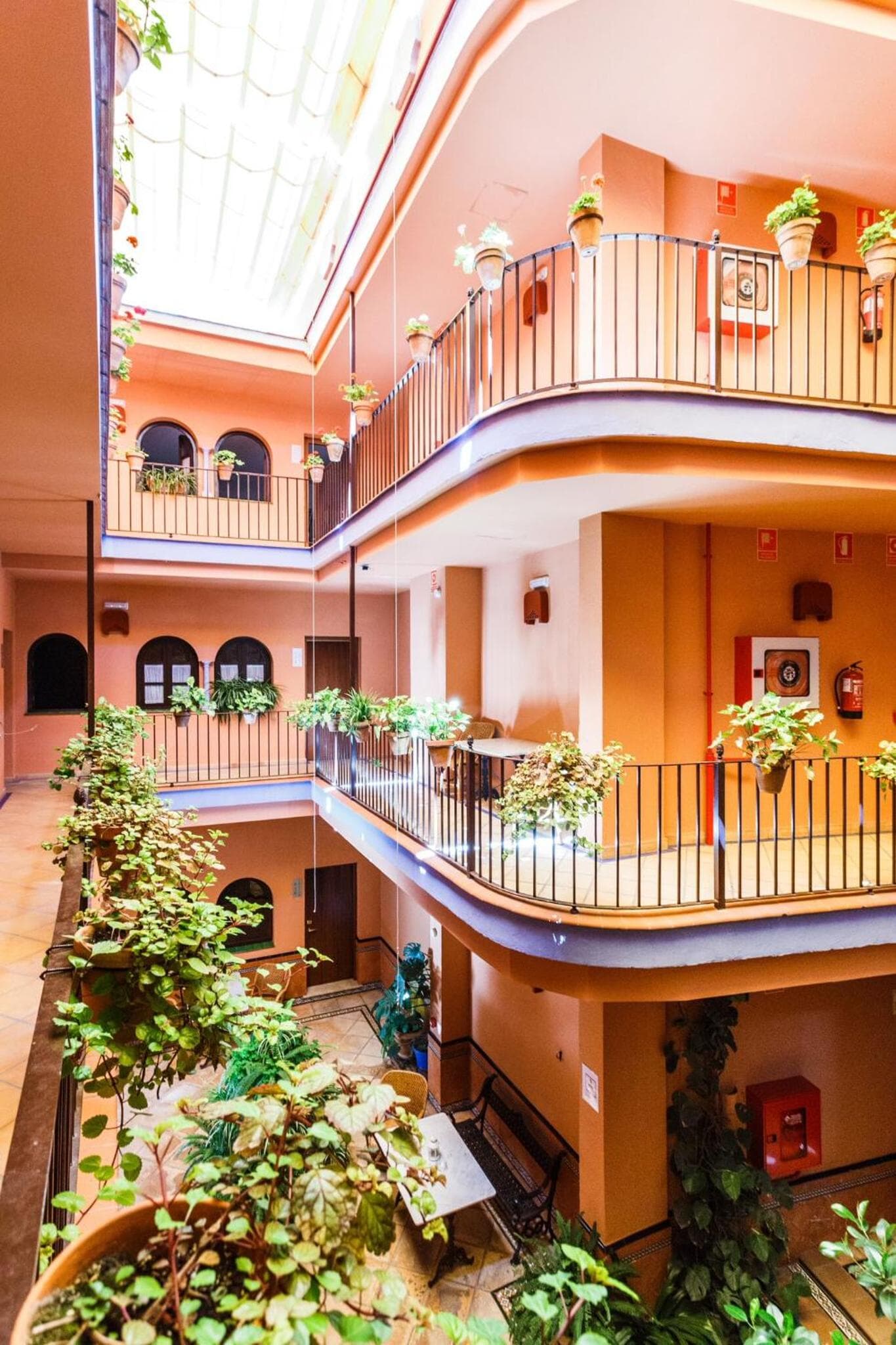Patio de La Alameda — 17