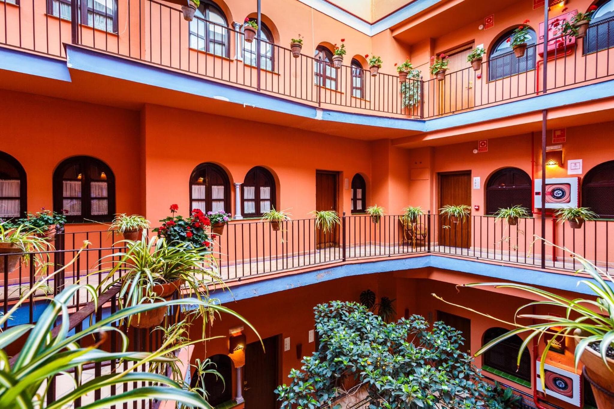 Patio de La Alameda — 3