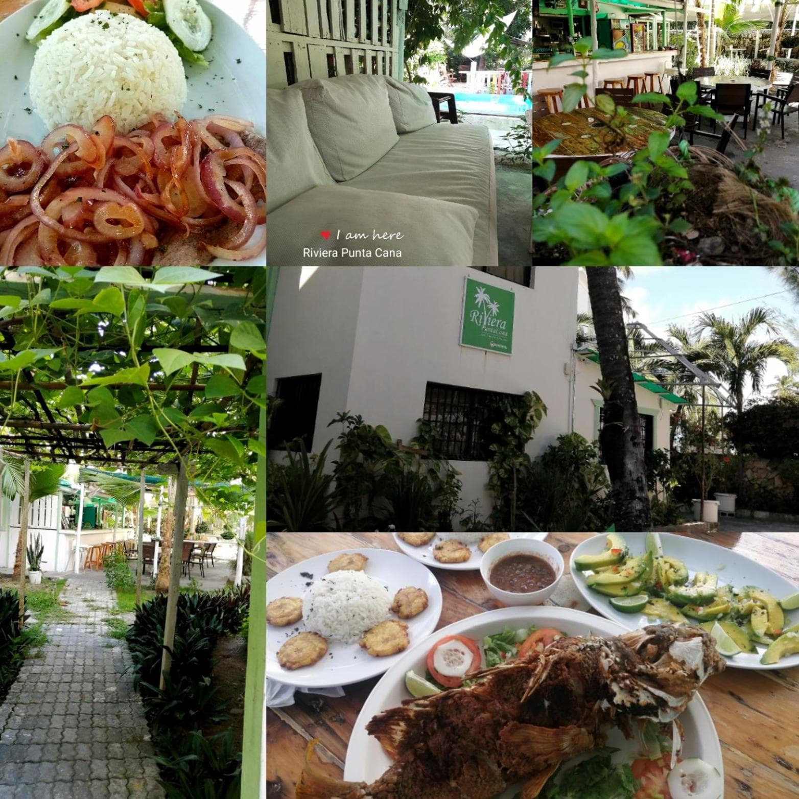 Viaggiatori ecologici della Riviera Punta Cana — 28