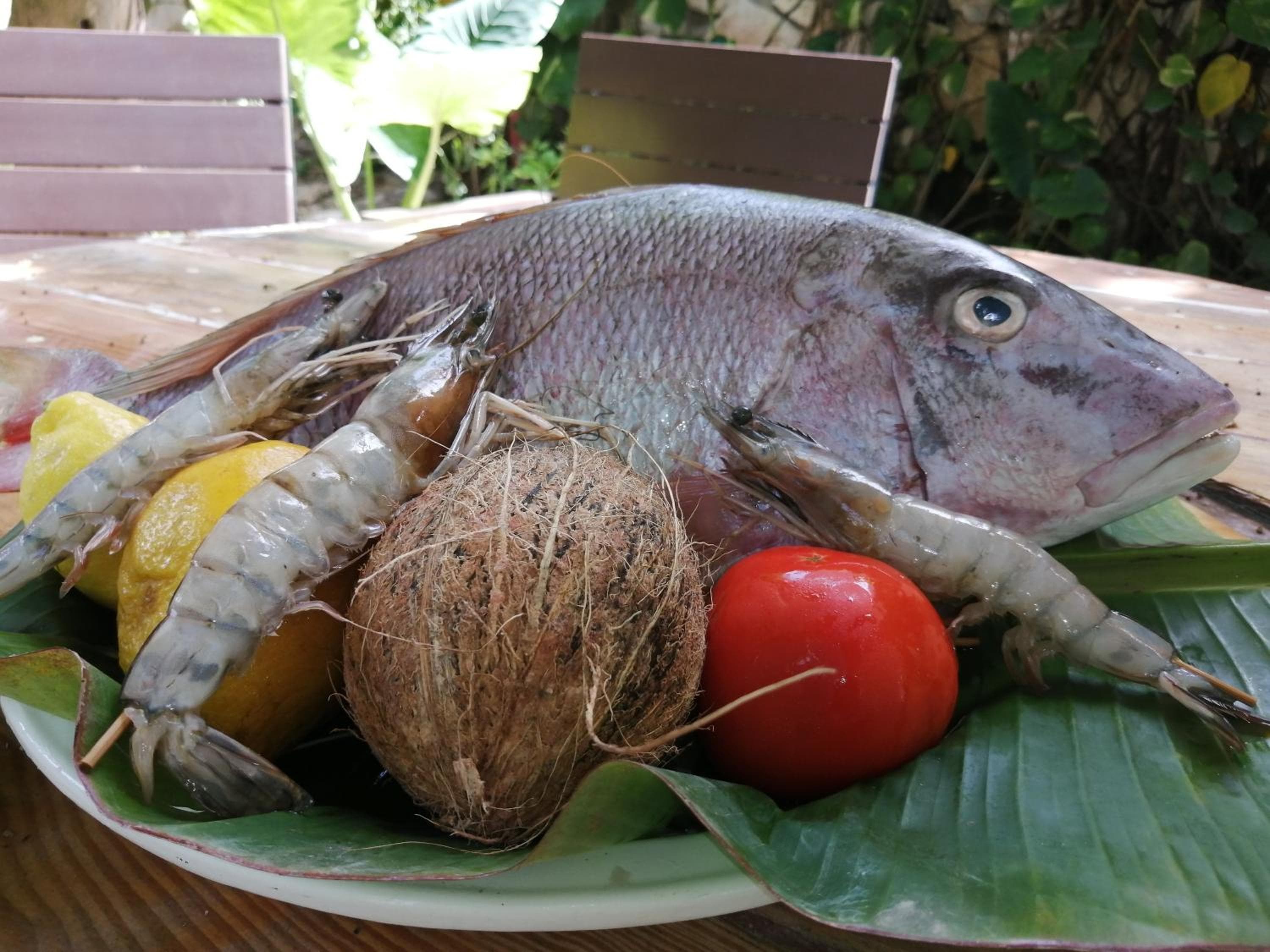 Viaggiatori ecologici della Riviera Punta Cana — 21