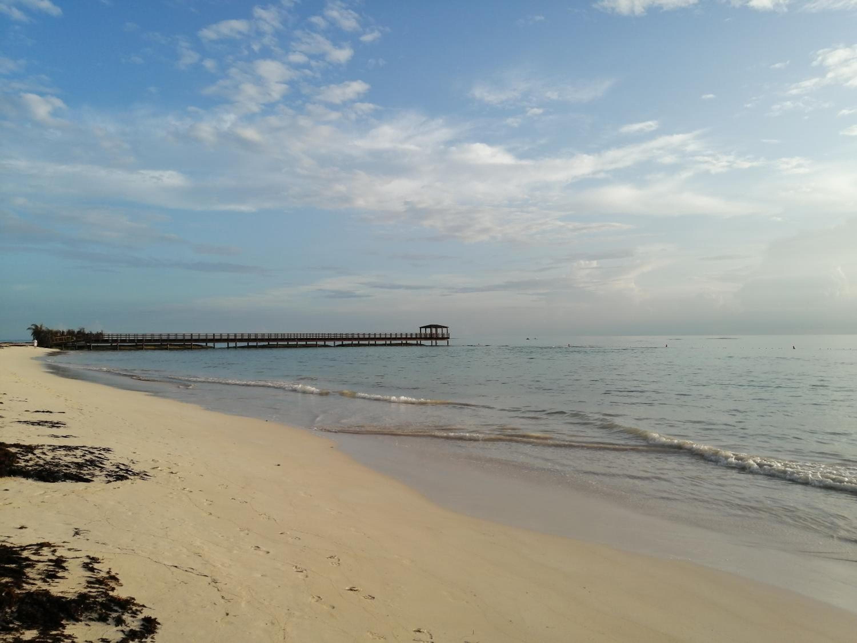 Viaggiatori ecologici della Riviera Punta Cana — 15