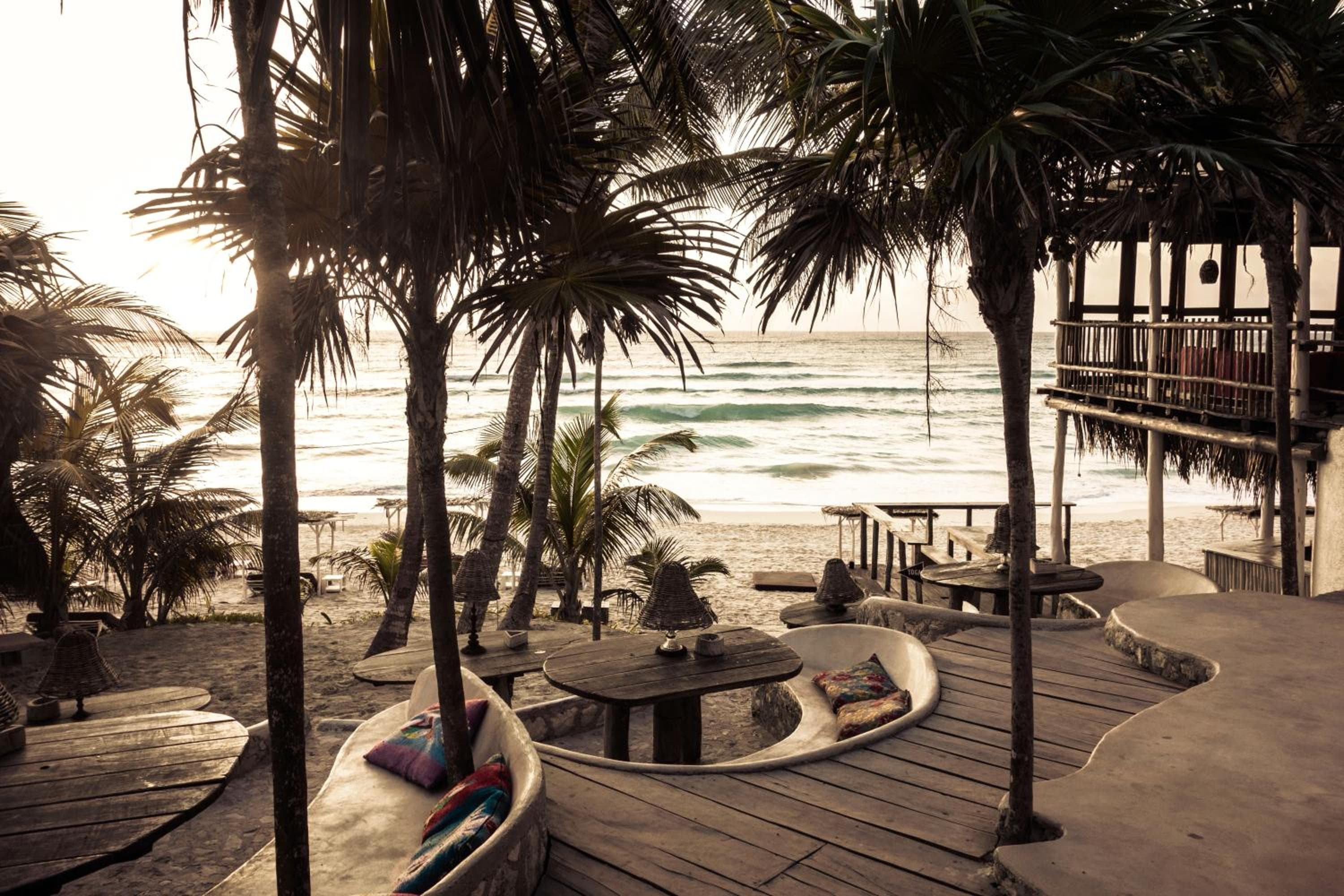 Progetto Papaya Playa — 16