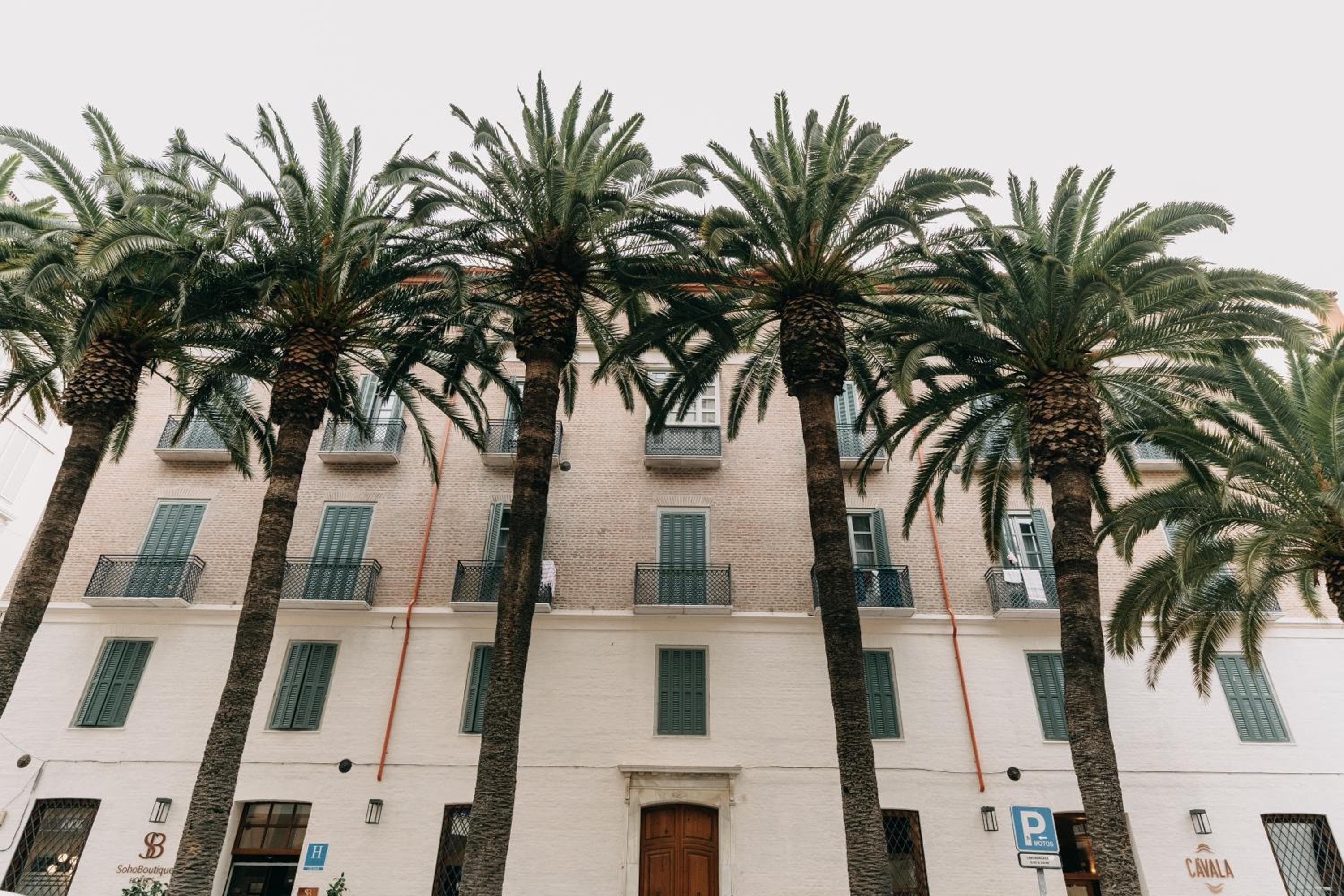 Soho Boutique Colón — 12