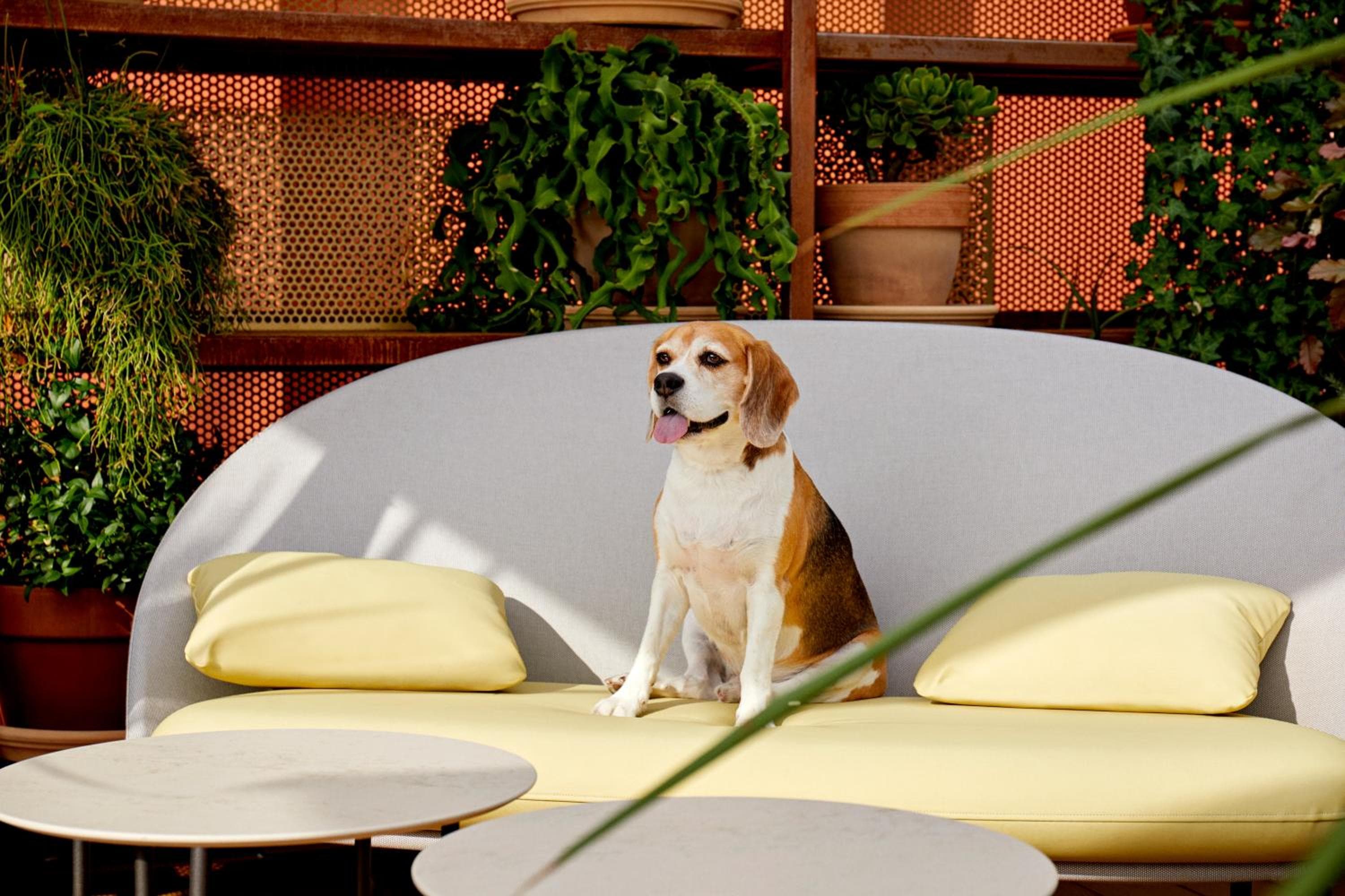 Kimpton Vividora Hotel, un hotel IHG — 7
