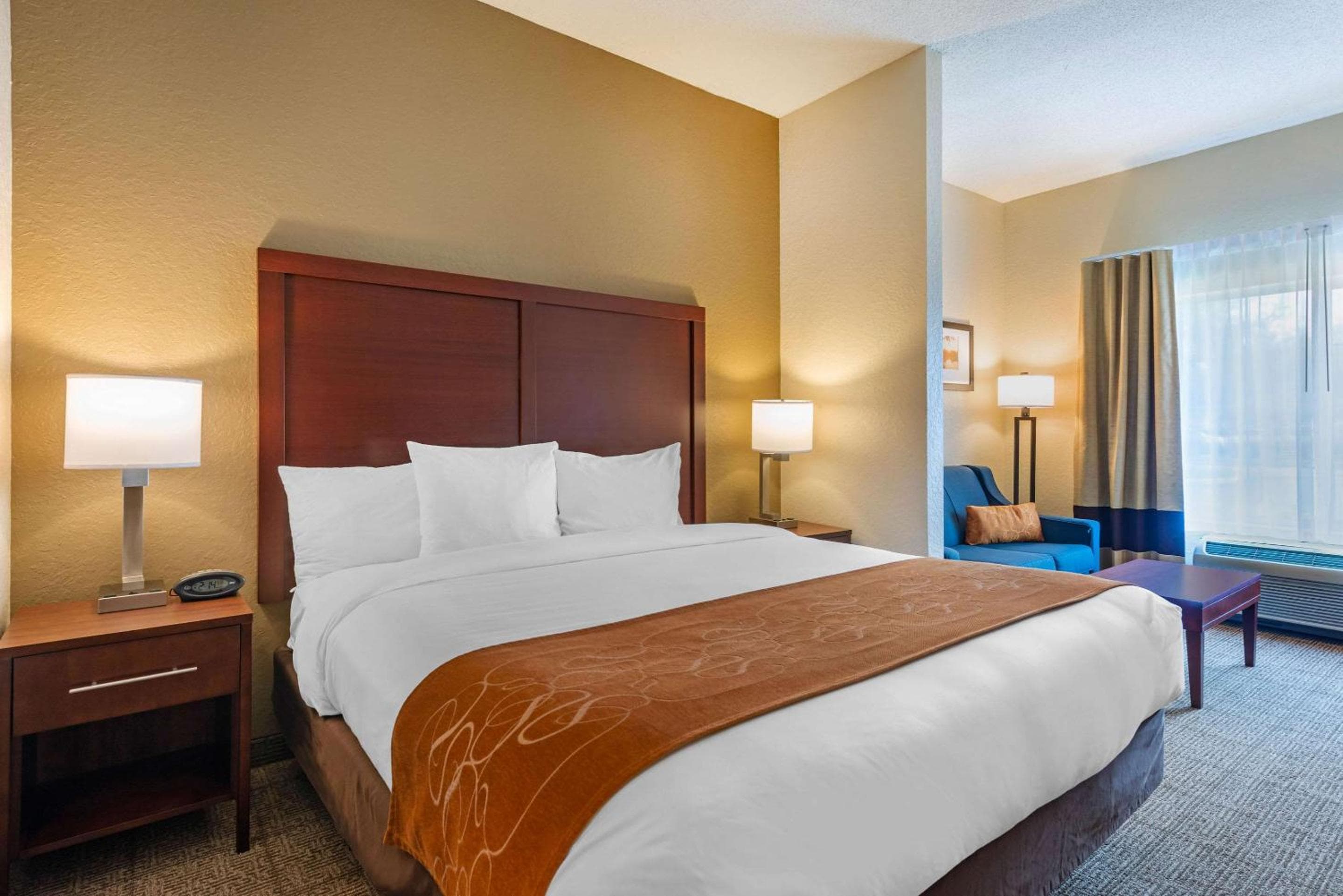 Comfort Suites Downtown — 27