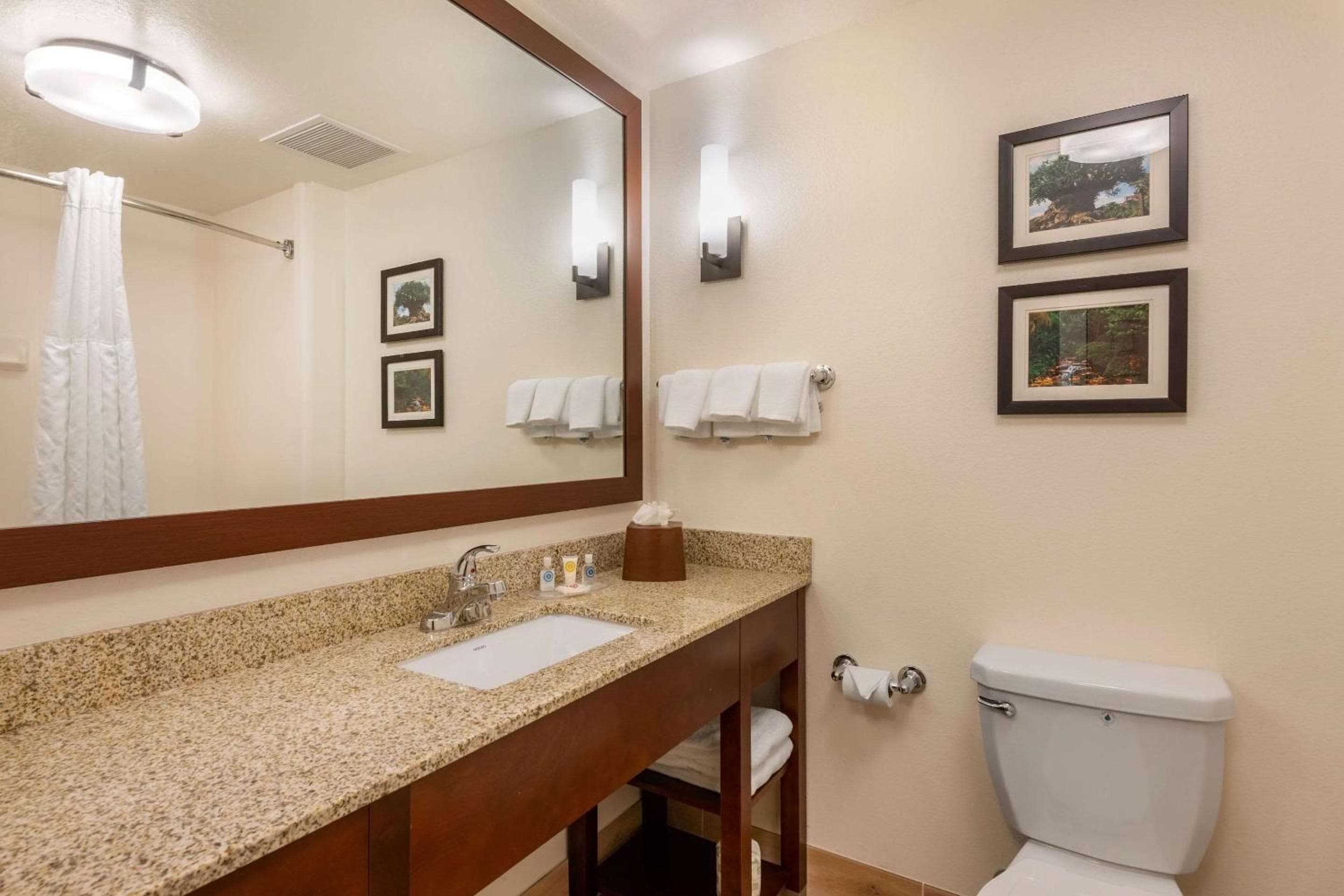 Comfort Suites Downtown — 13