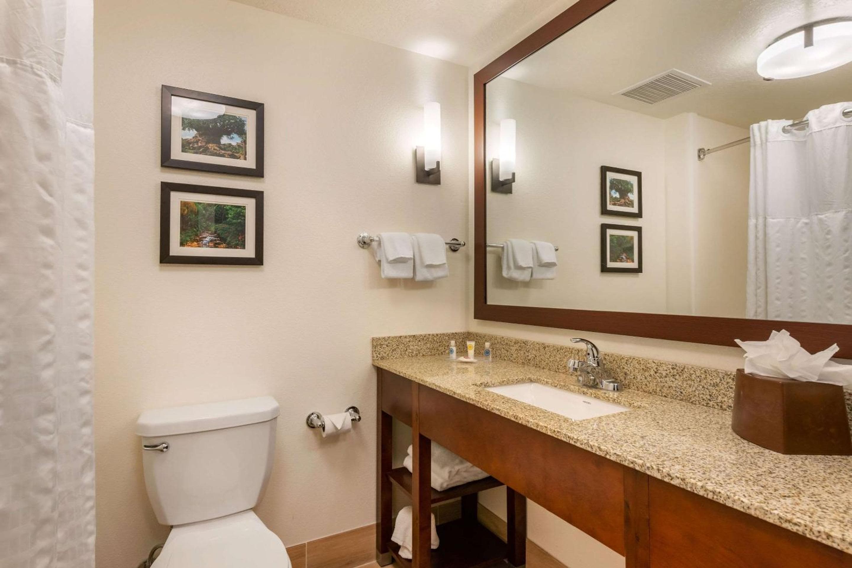 Comfort Suites Downtown — 26