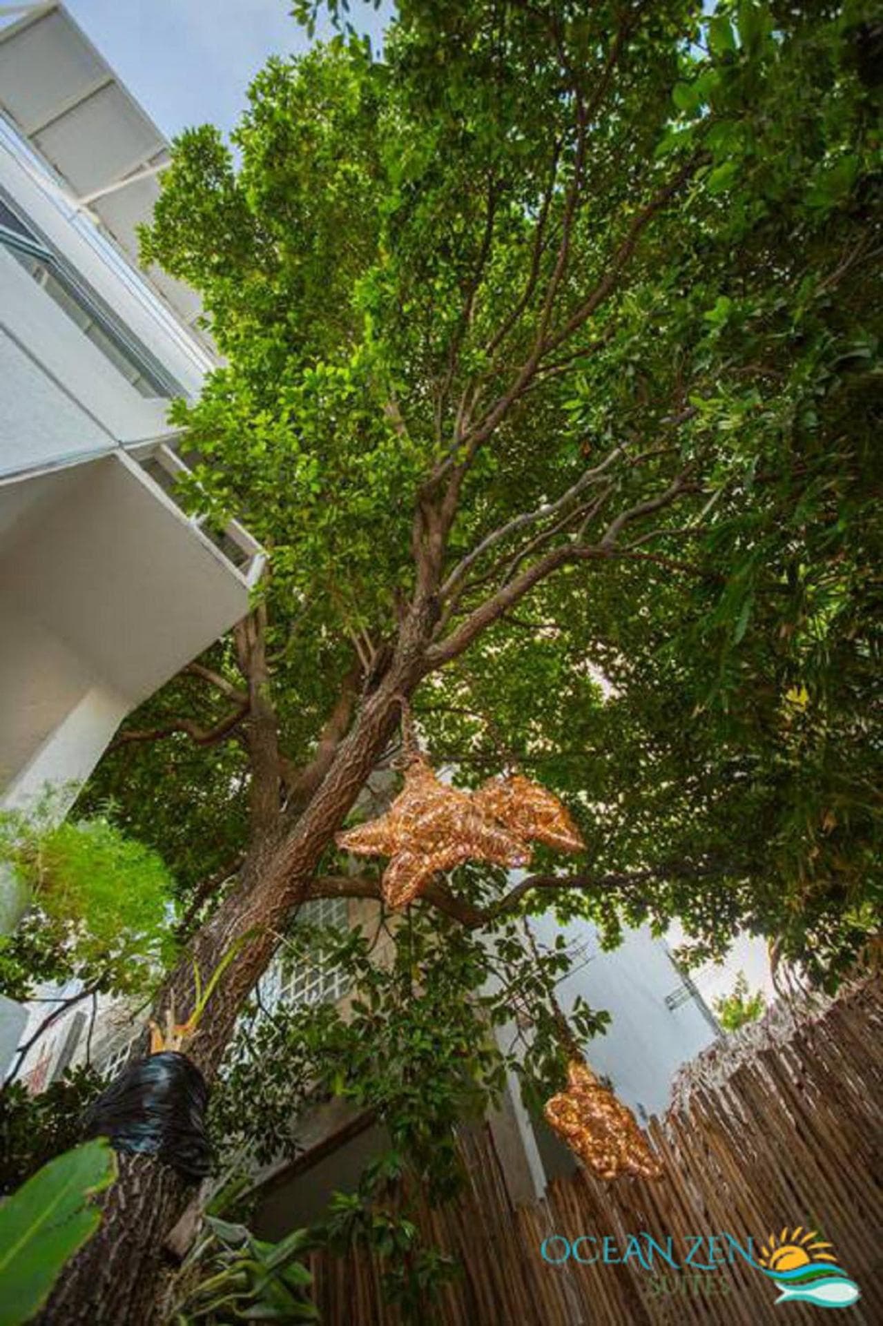 Ocean Zen Suites en la 5ta Avenida - Solo Adultos — 16