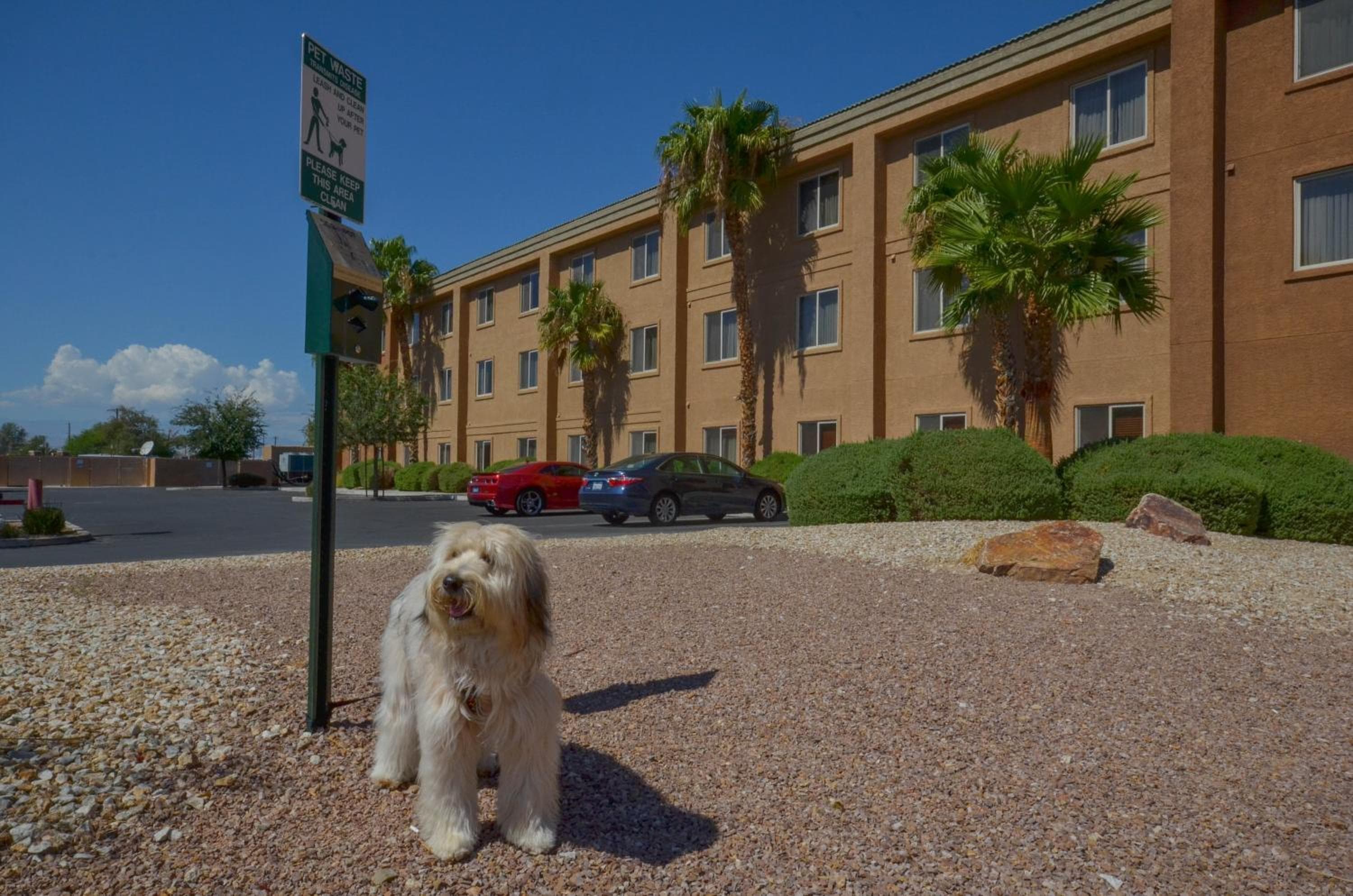 Holiday Inn Express Las Vegas-Nellis, ein IHG Hotel — 27