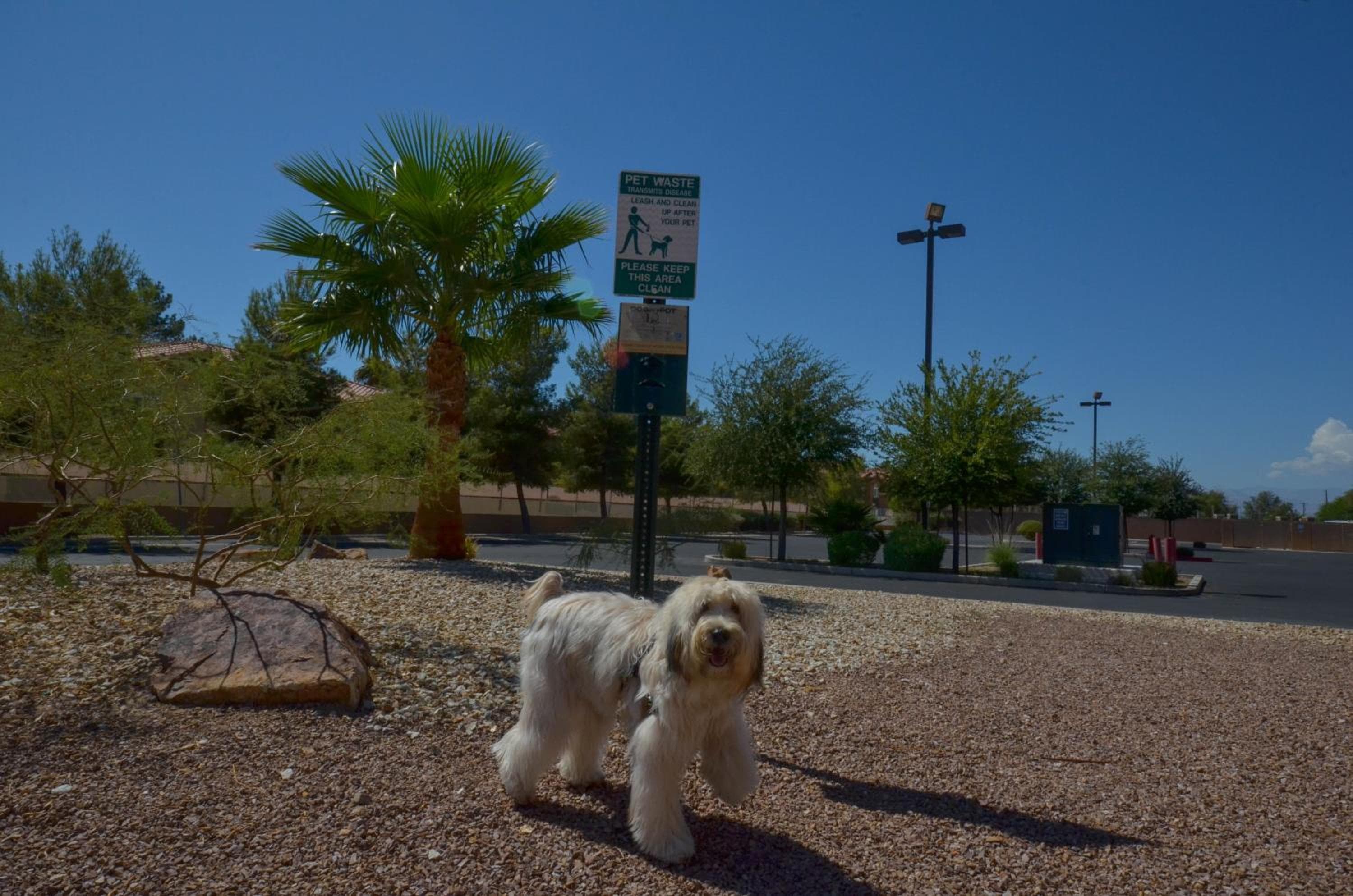 Holiday Inn Express Las Vegas-Nellis by IHG — 26