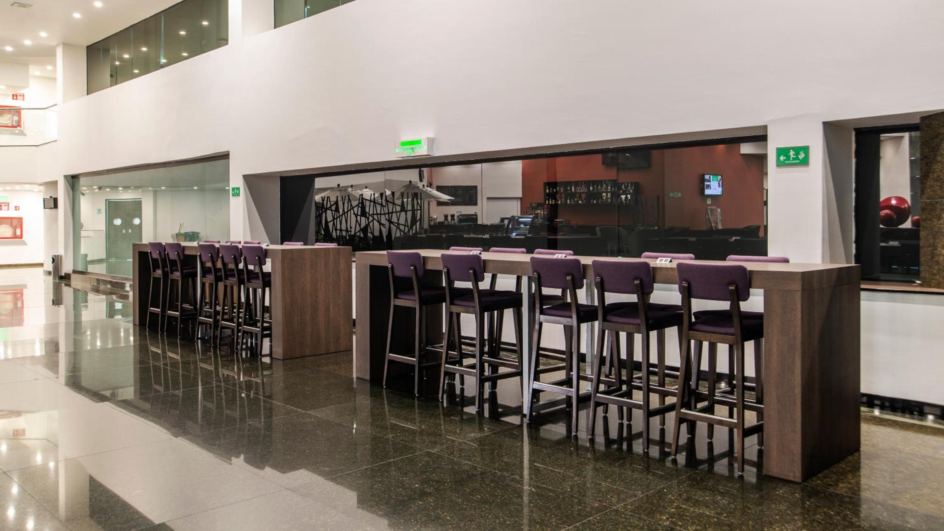 Holiday Inn México Dalí Aeropuerto, un hotel IHG — 29