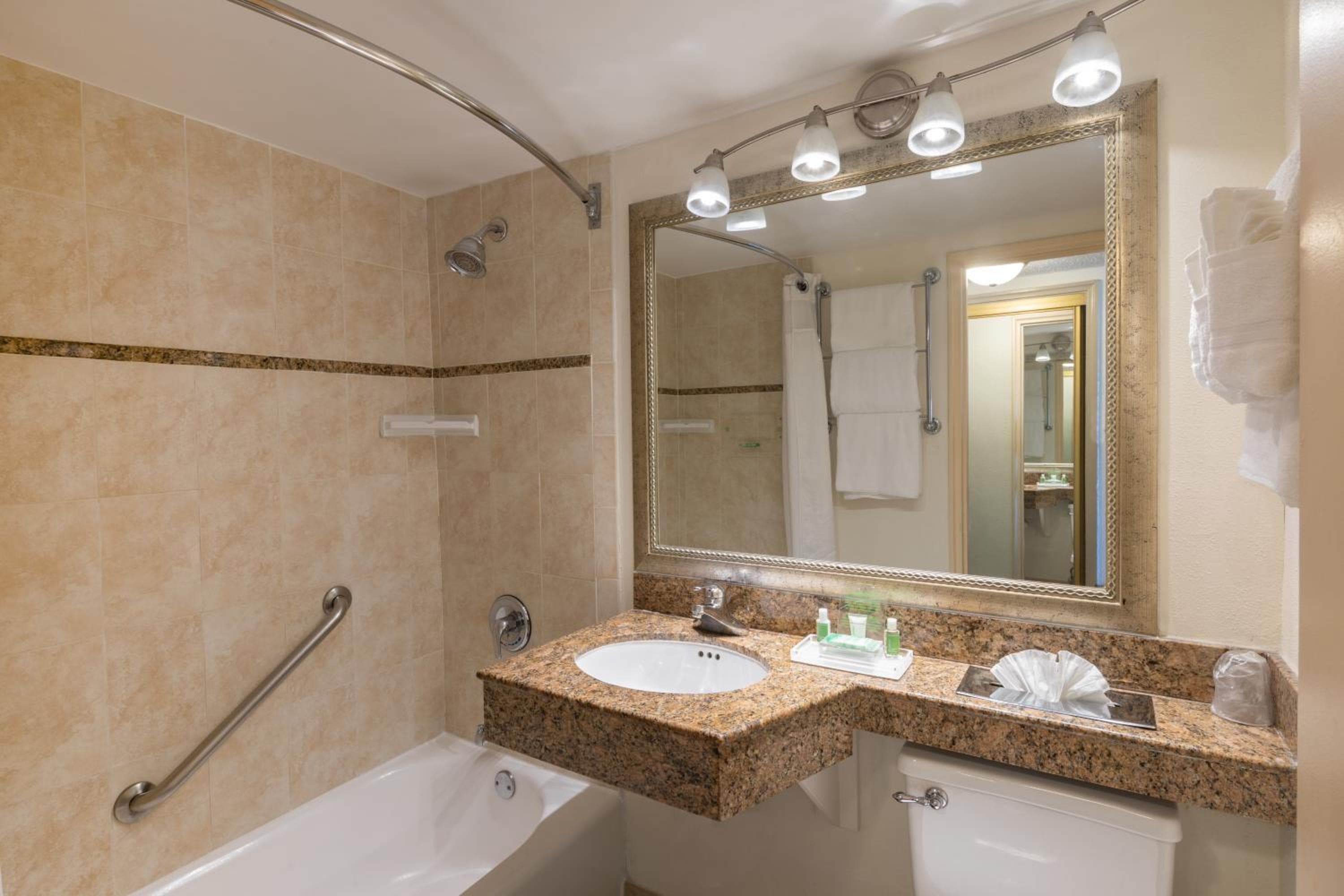Holiday Inn Hotel Port of Miami-Downtown by IHG — 12
