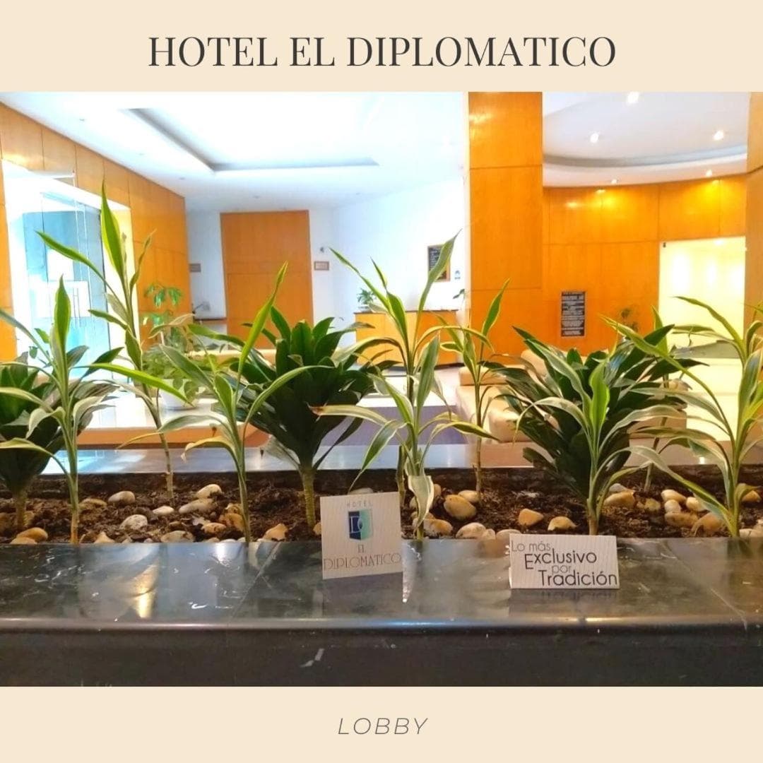 El Diplomatico — 21