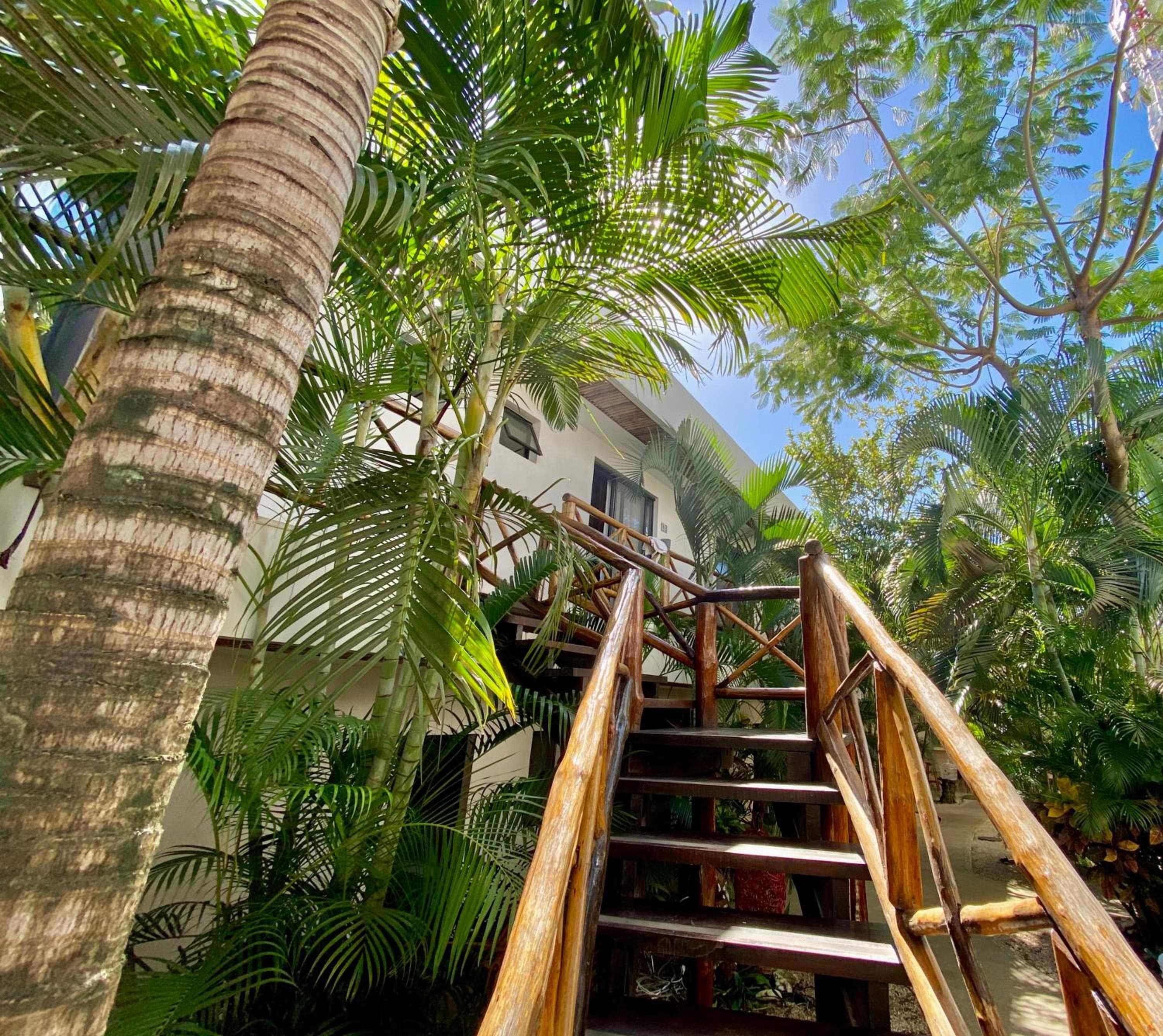 Pachá Tulum — 9