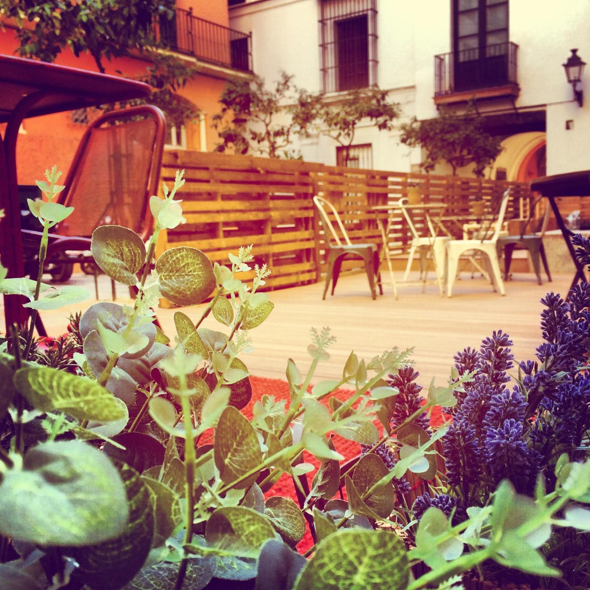 Hostal Toc Sevilla — 15