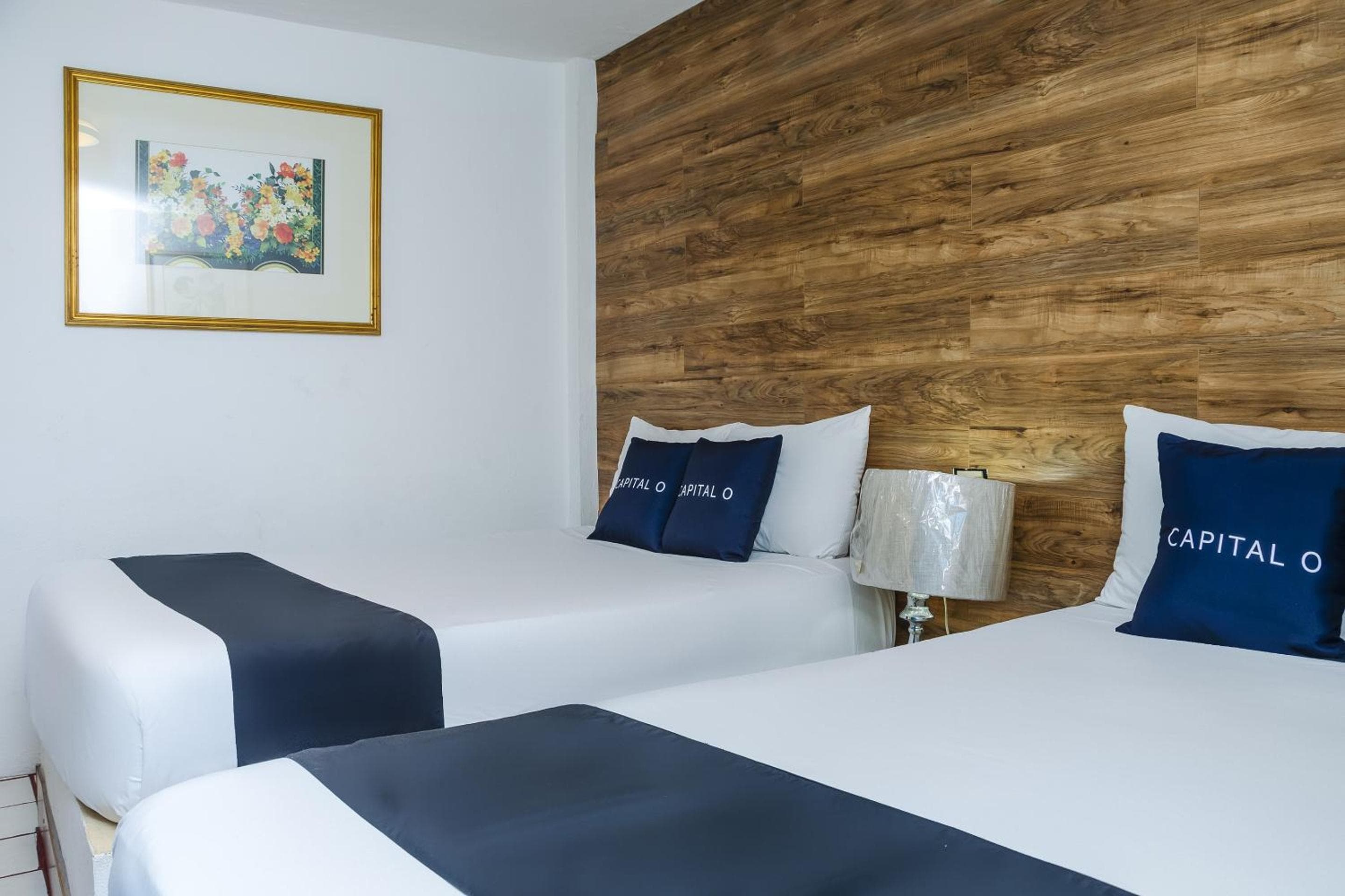 Capital O Hotel Dos Mares, Cabo San Lucas — 3