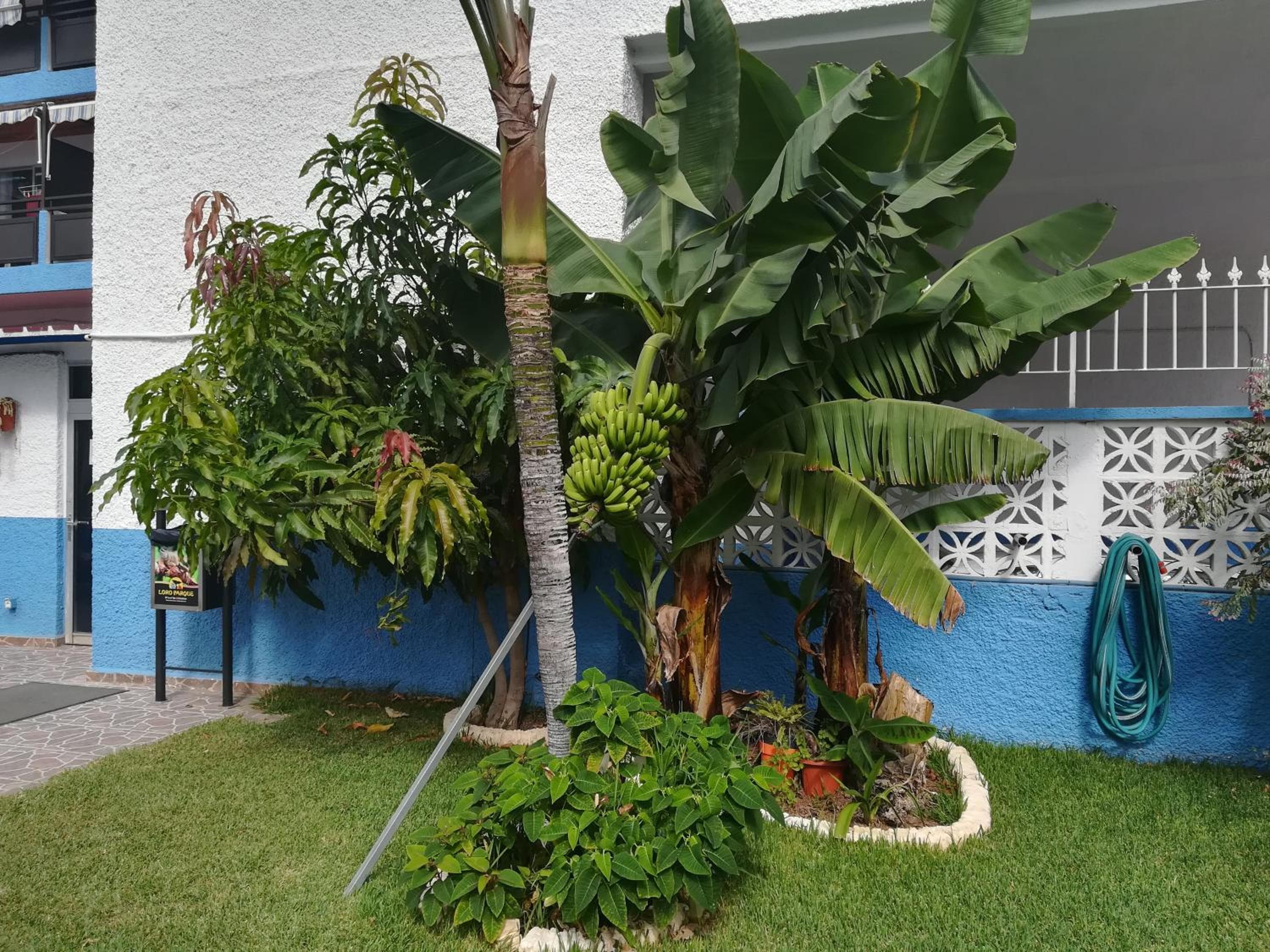 Acogedor estudio con piscina y cerca de la playa — 3