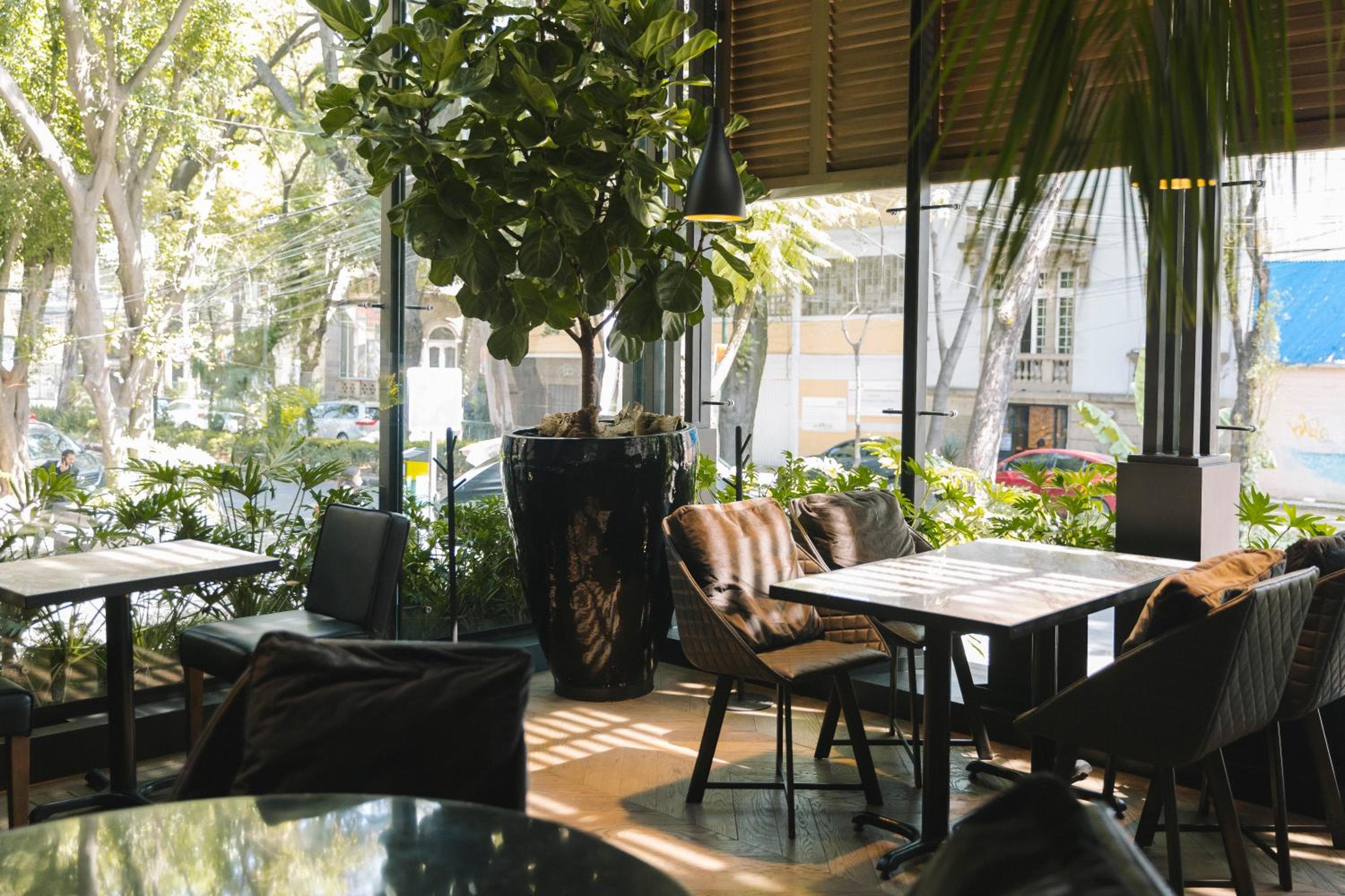 Brick Hotel Ciudad de México - Pequeños Hoteles de Lujo del Mundo — 10
