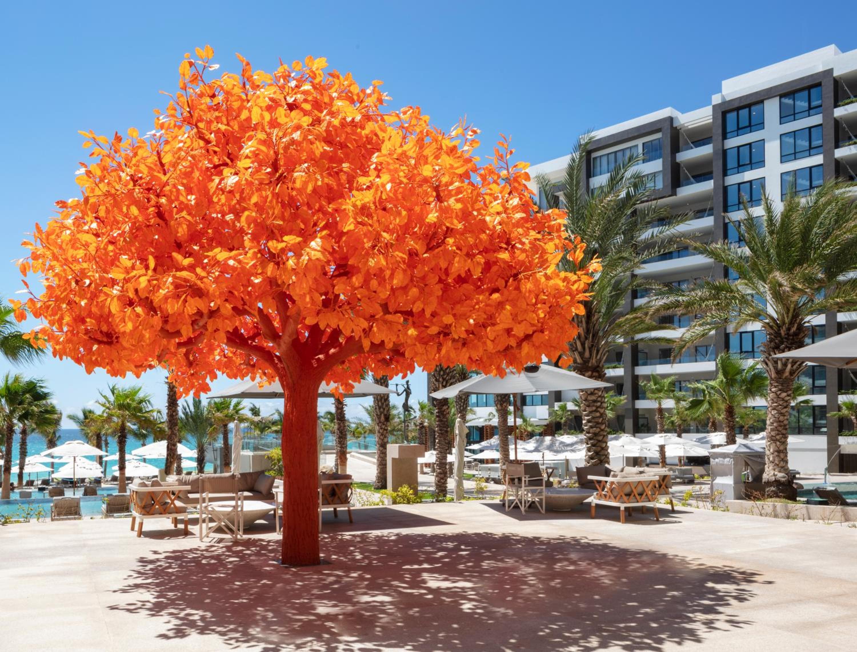 Garza Blanca Resort & Spa Los Cabos — 12