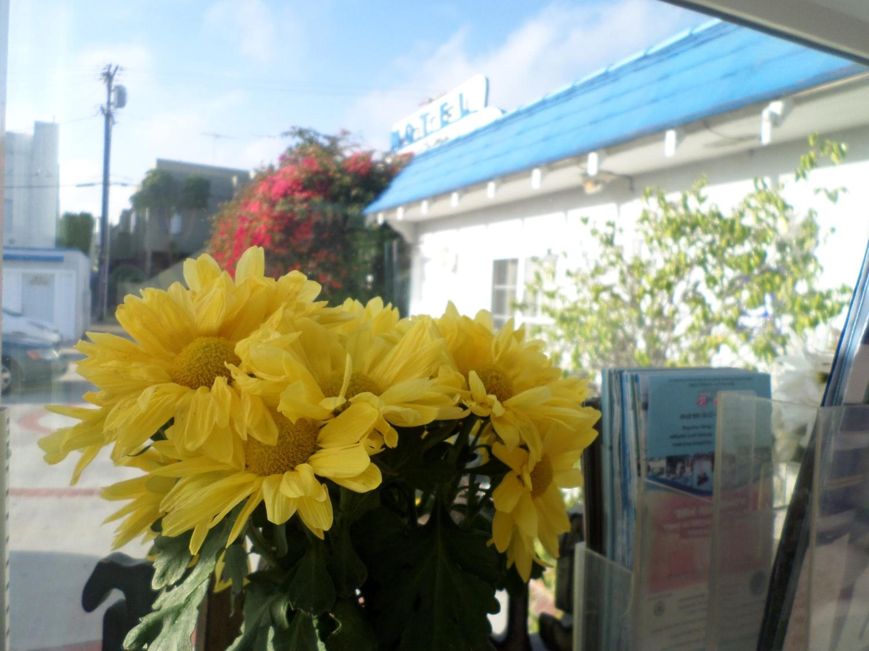 Motel Paradise — 8