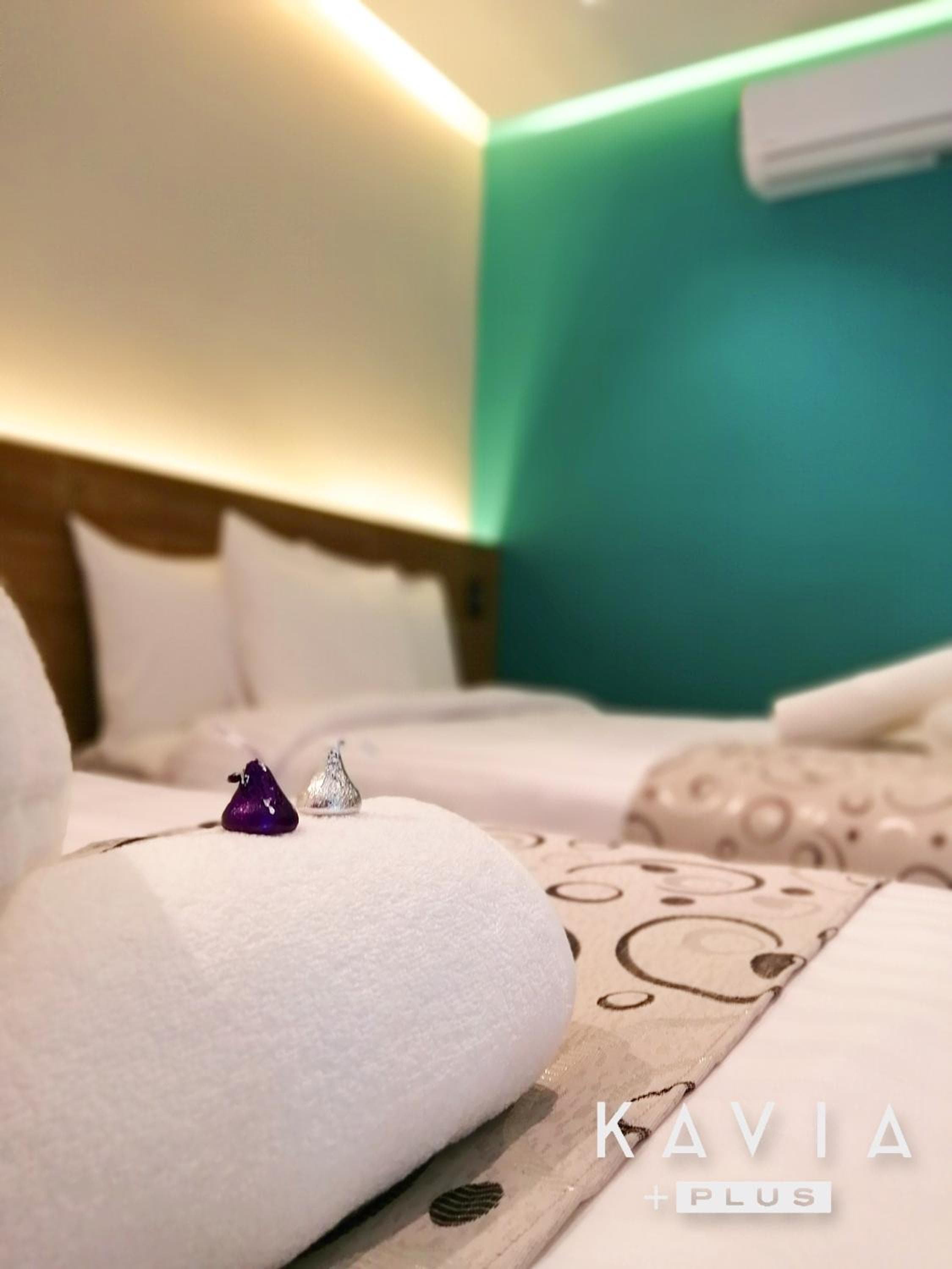 Hotel Kavia Plus — 20
