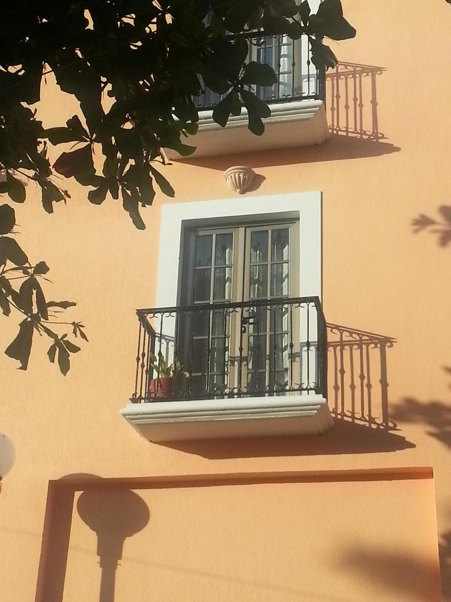 Hotel Los Itzaes by 5th av — 27