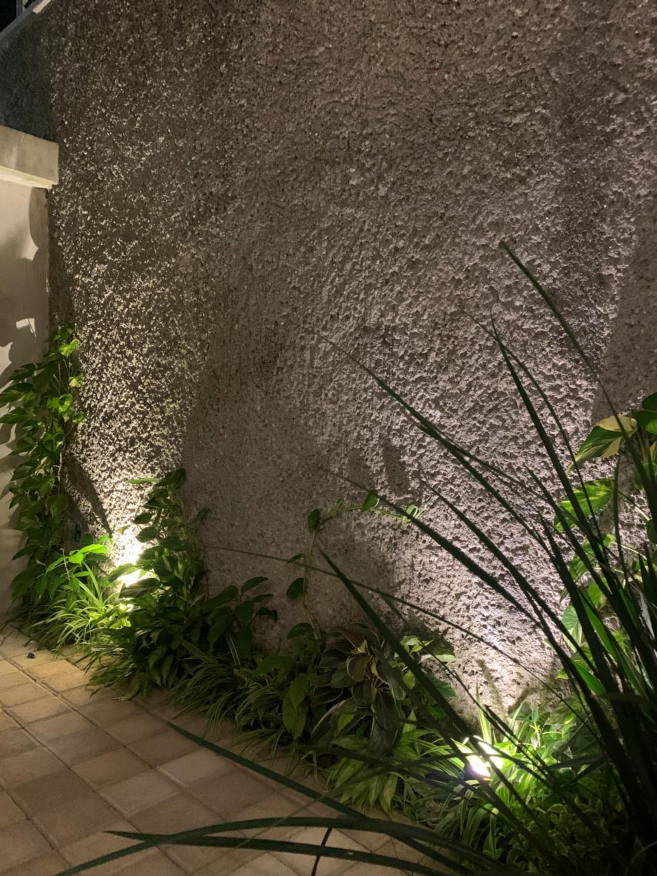 Las Palmas Studios — 2
