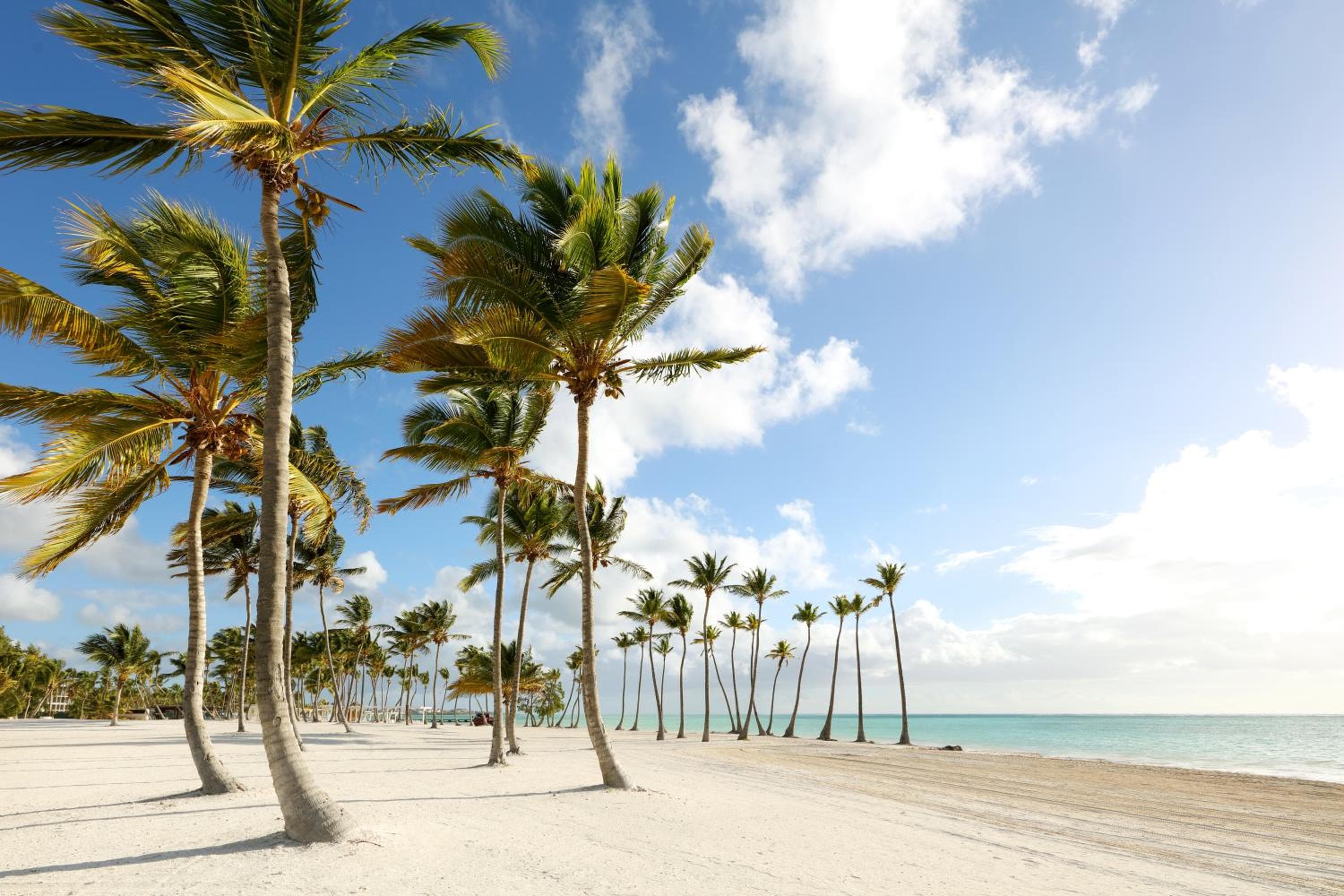 TRS Cap Cana Waterfront & Marina Hotel - Adults Only - All Inclusive — 6