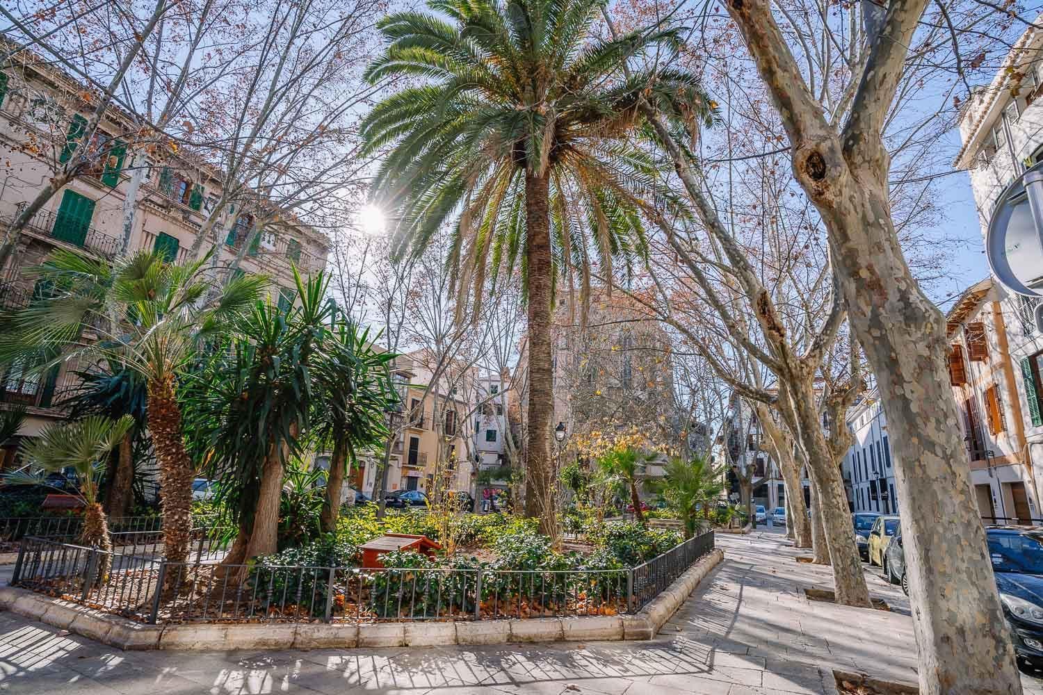 Apartamentos Vintage Palma Palace TI — 25