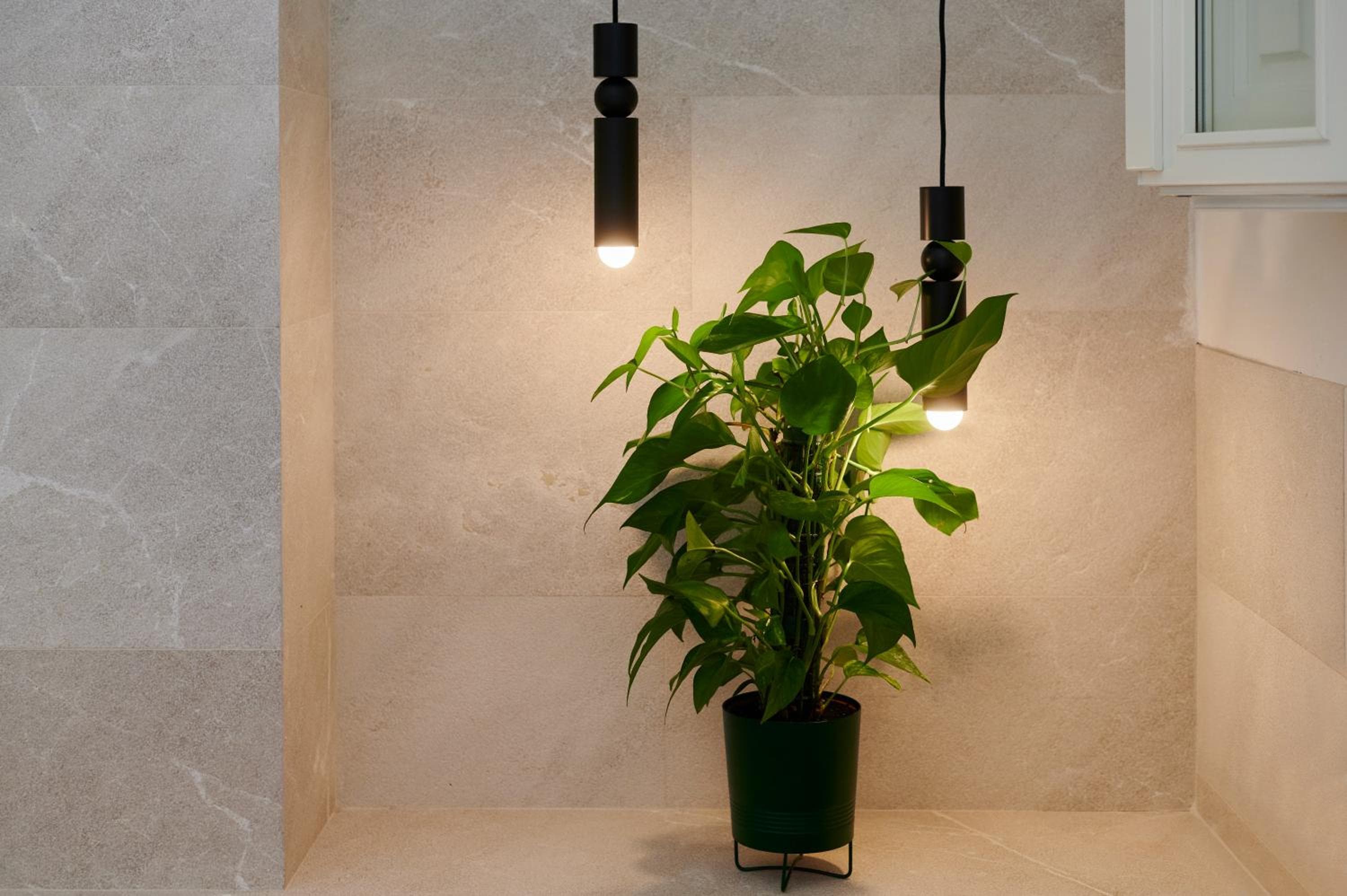 Le Boc Suites — 25