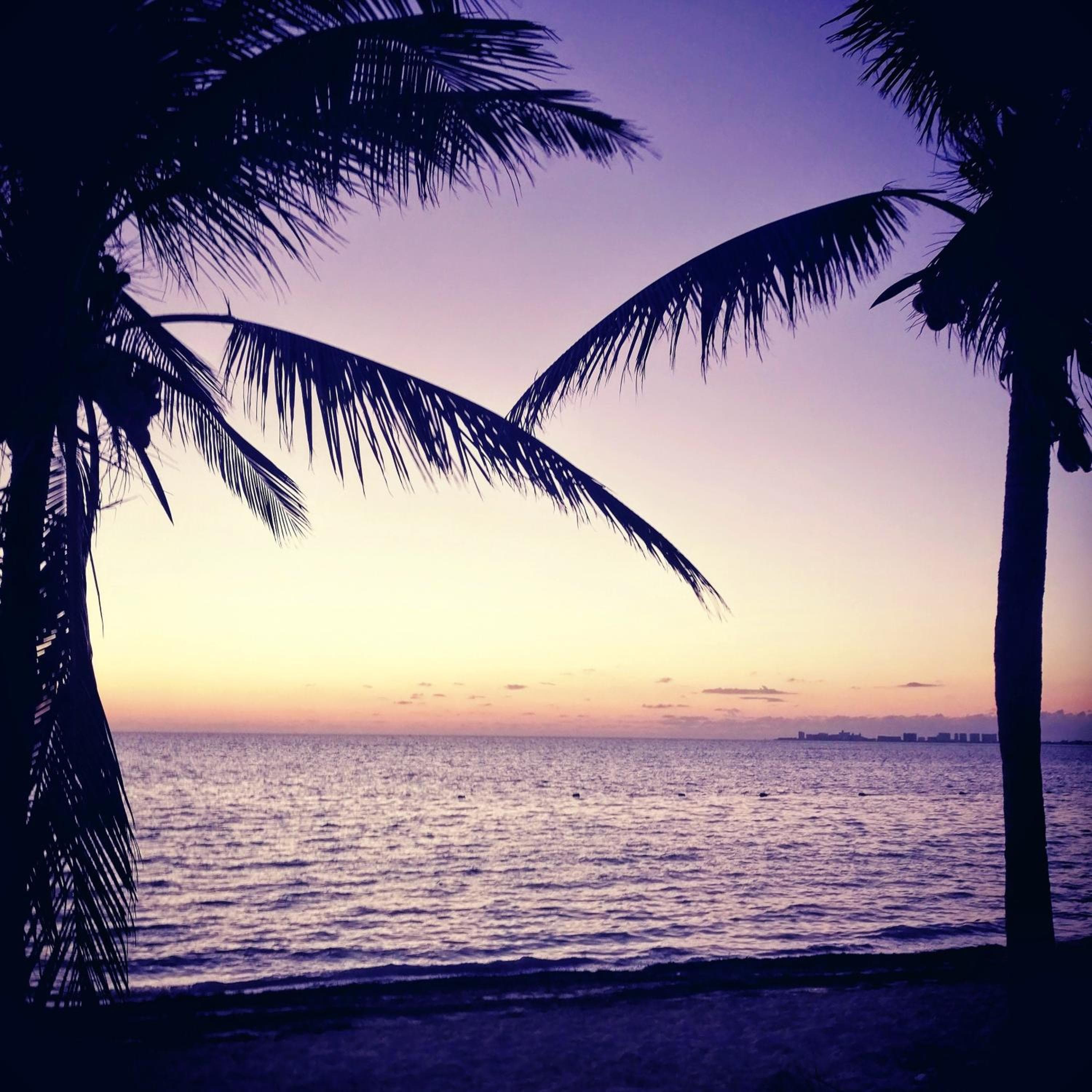 Tu Casa en el Caribe — 4